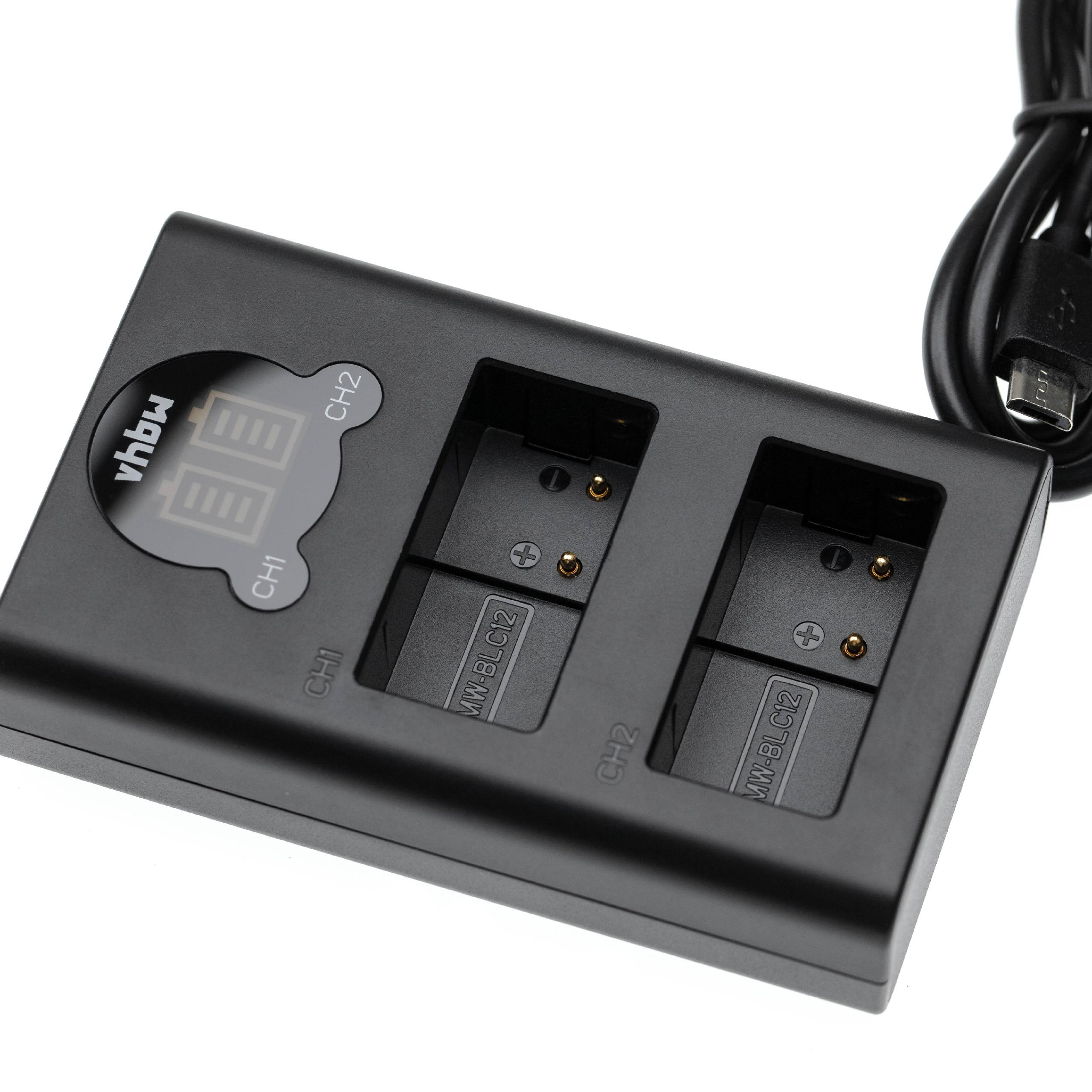 Schwarzes Batterieladegerät mit zwei Schlitzen, digitaler Anzeige und USB-Kabel. Der Hintergrund ist weiß.