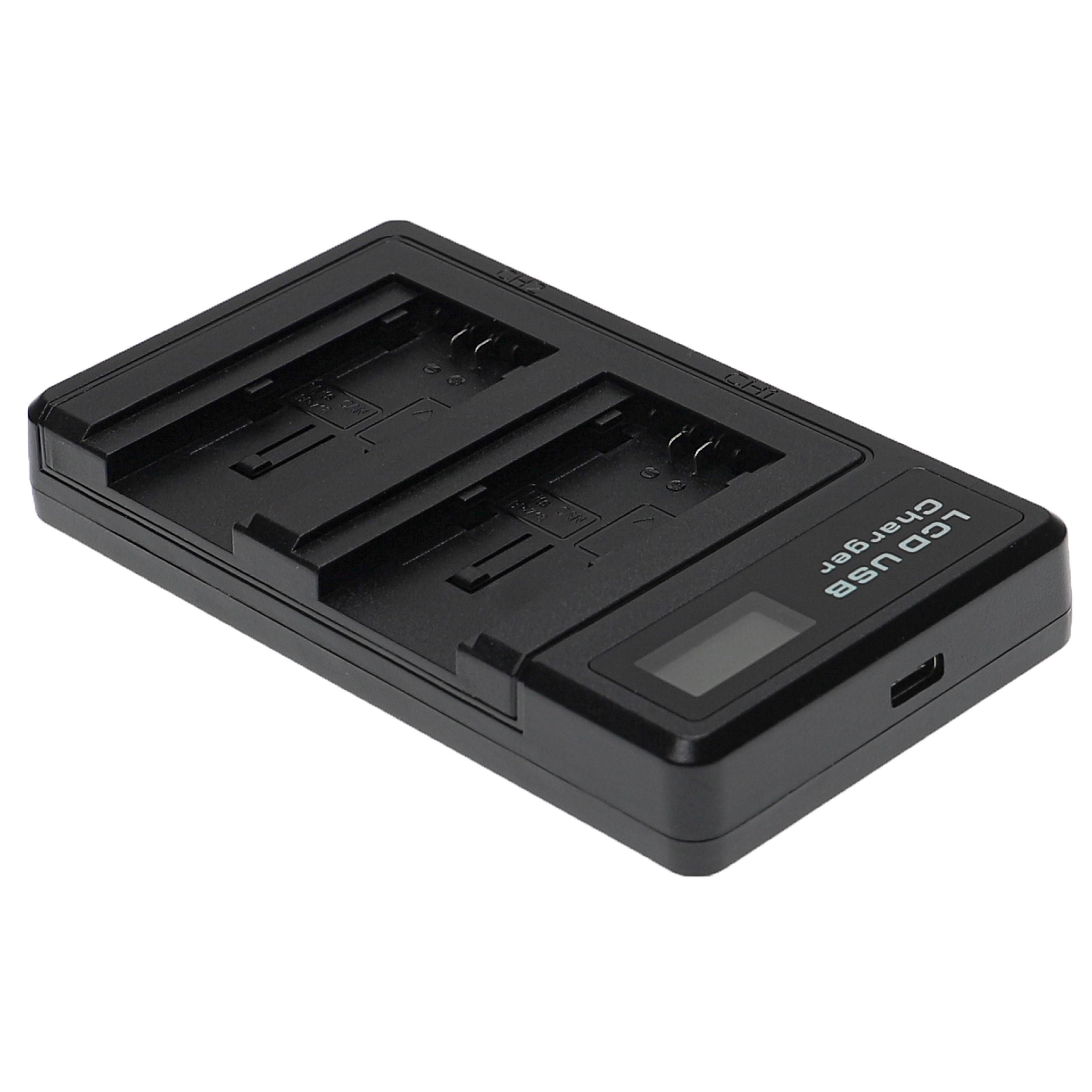 Ein schwarzes LCD-USB-Ladegerät, leicht angewinkelt. Es hat zwei Batterieschlitze, ein Display und einen USB-Anschluss. Der Hintergrund ist weiß.