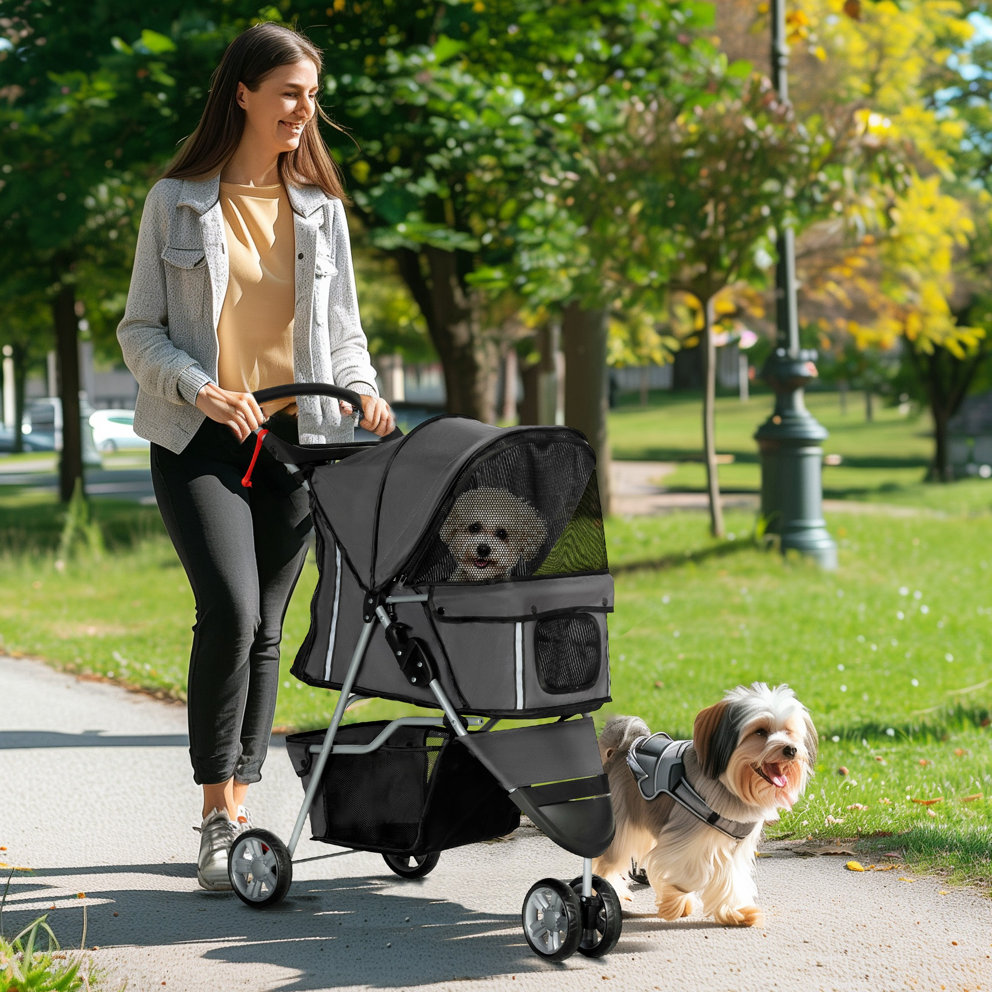 Una donna porta a passeggio un cane e spinge un passeggino con un altro cane dentro. La scena è all'aperto in una giornata di sole.