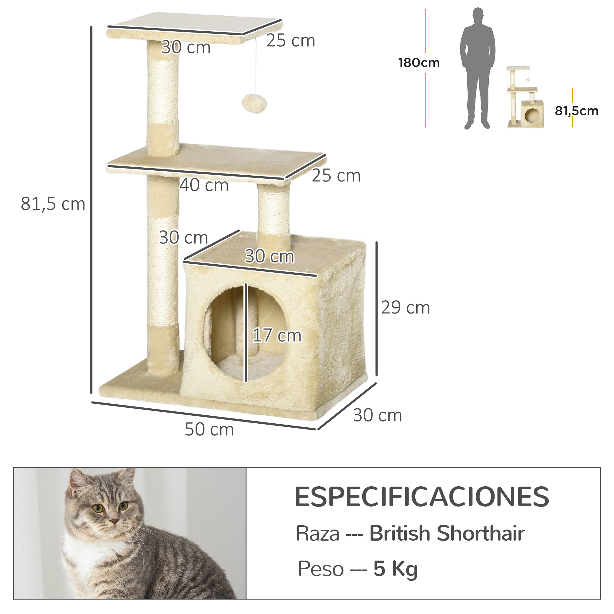 Un árbol para gatos con dimensiones. Un gato está abajo a la izquierda. Especificaciones: British Shorthair, 5 Kg.