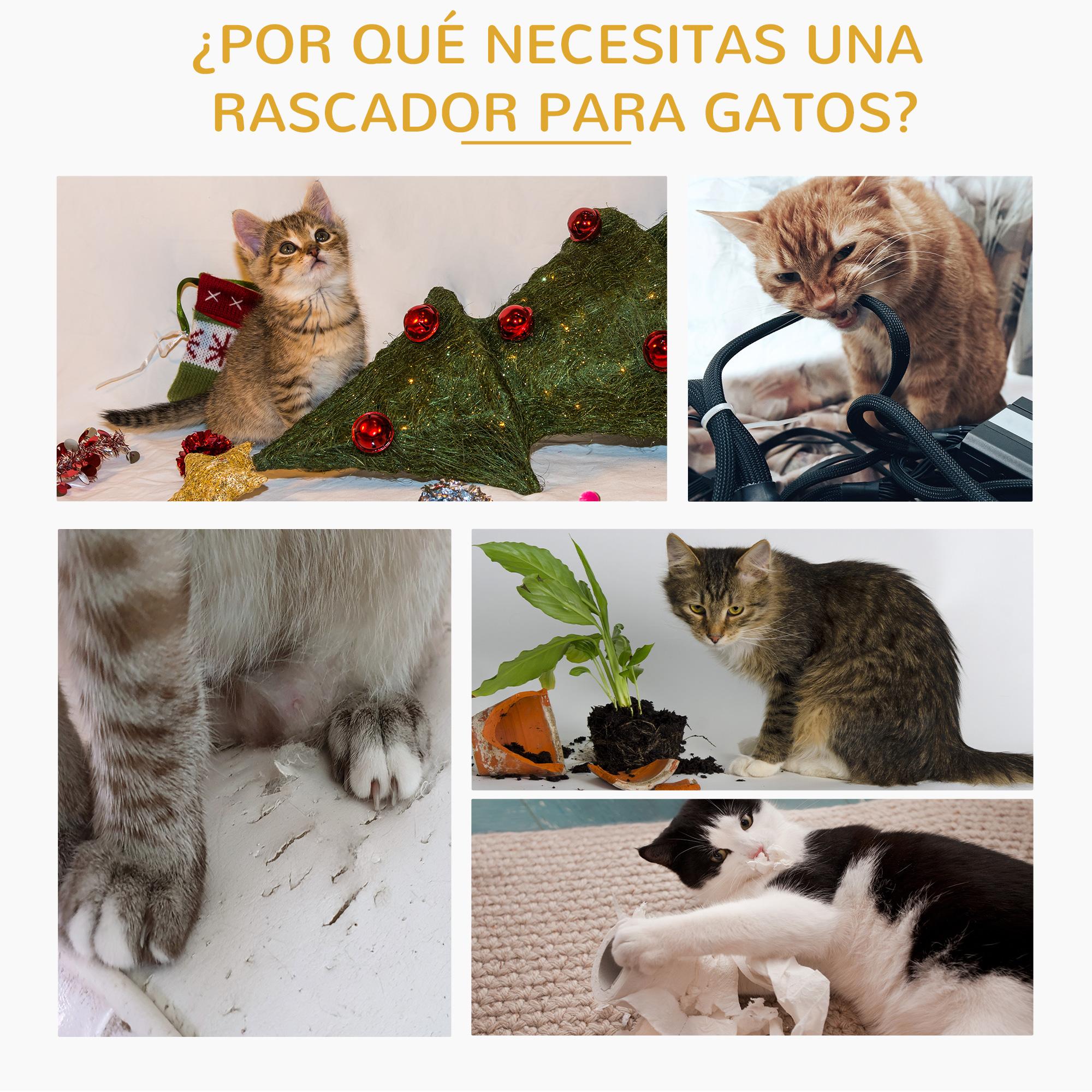 La imagen muestra gatos destruyendo cosas. Un gato mastica un cable, otro destroza papel y uno está junto a una maceta rota. Un gatito mira hacia arriba.