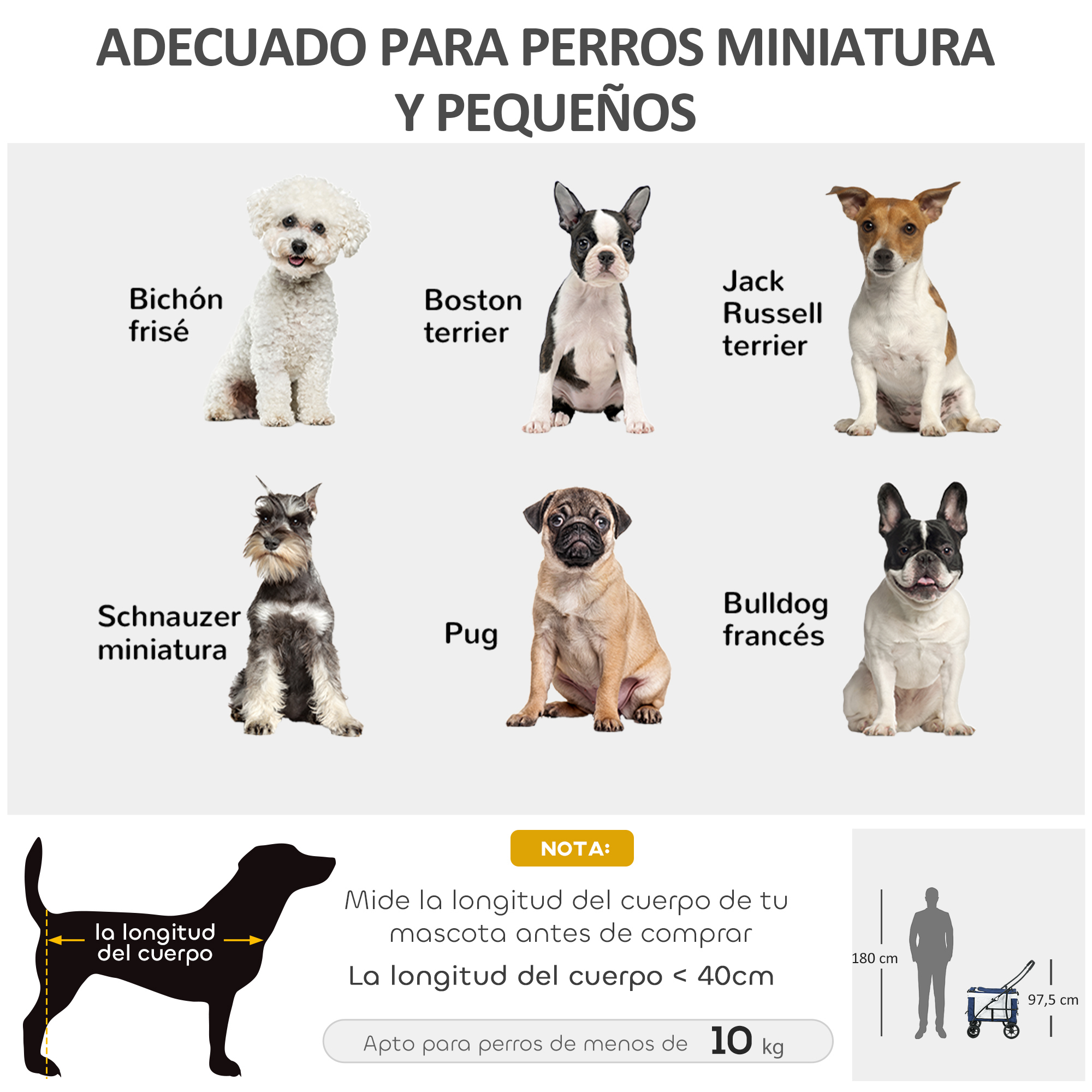 La imagen muestra seis razas de perros pequeños con etiquetas: Bichon Frise, Boston Terrier, Jack Russell Terrier, Schnauzer, Pug y Bulldog Francés.