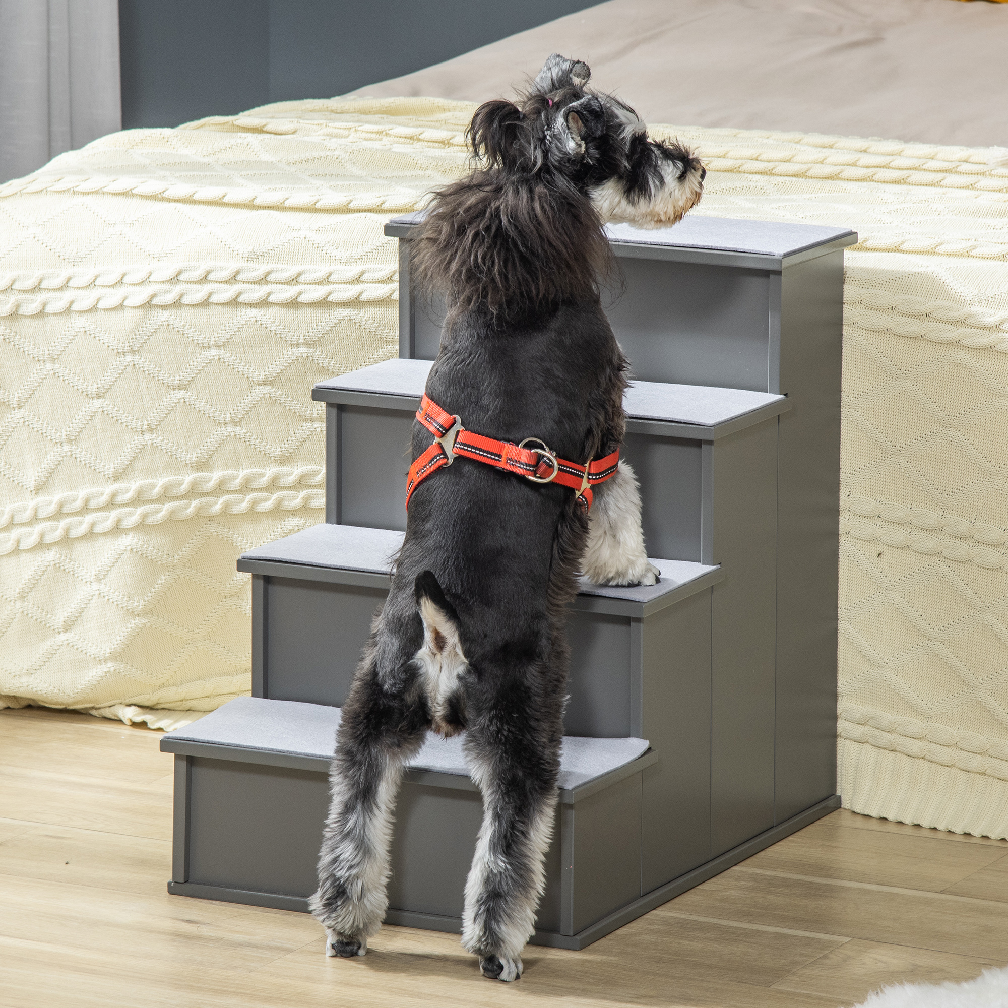 Un perro pequeño con arnés rojo está de pie en escaleras grises para mascotas. Una colcha beige en el fondo.
