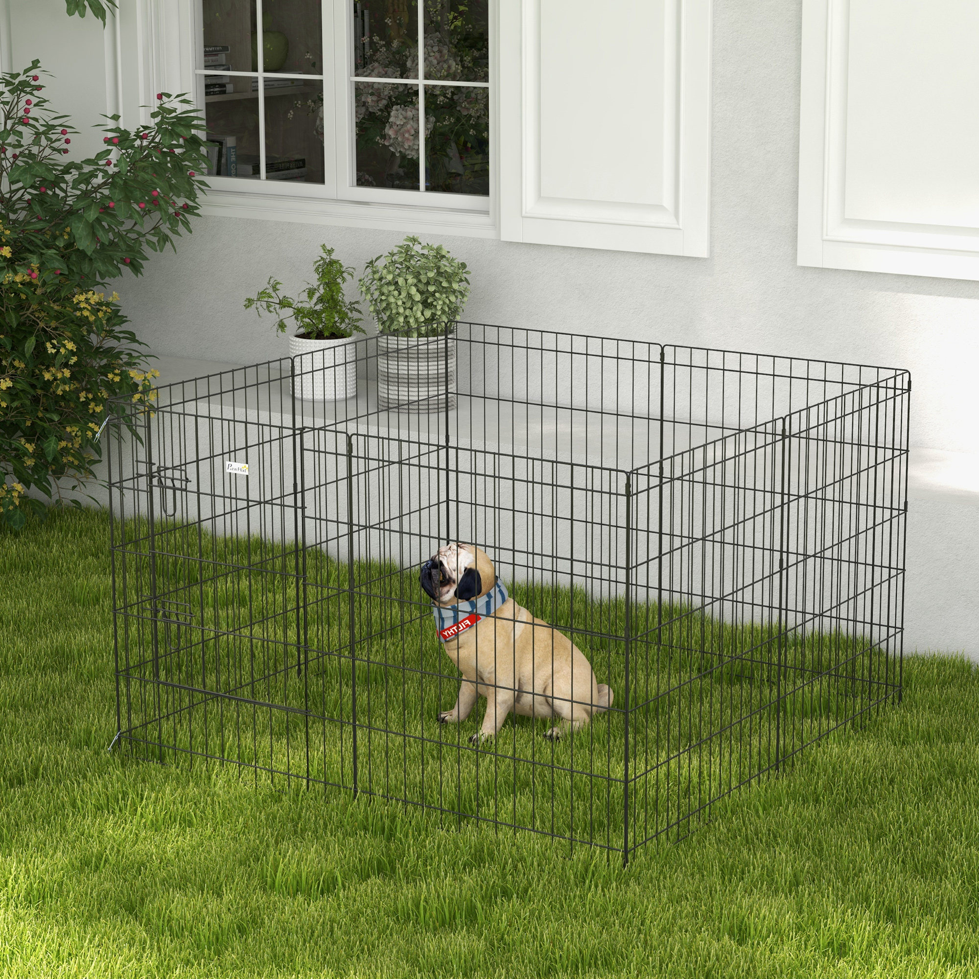 Un pug está sentado en un corral de alambre negro sobre hierba verde. El corral está cerca de una casa blanca con ventanas y plantas.