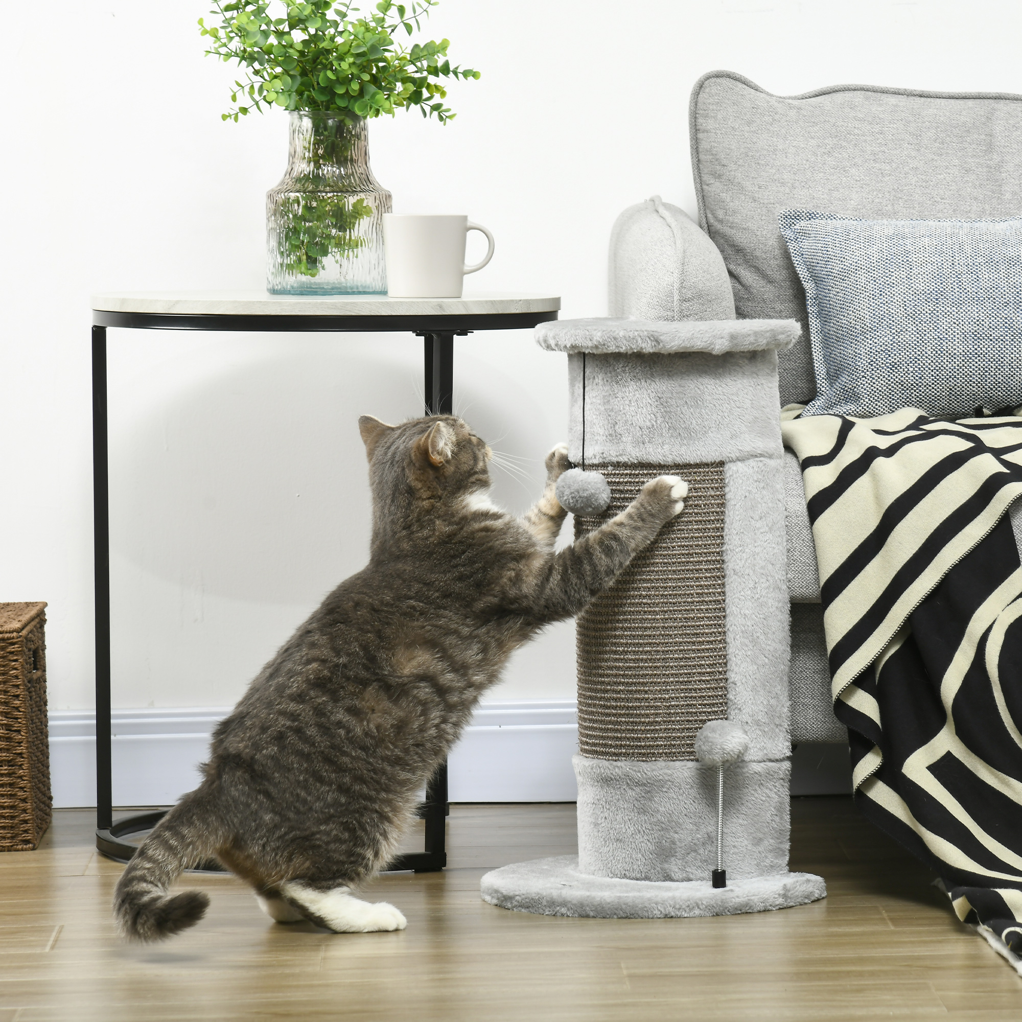 Un gato gris juega con un rascador en una habitación. Una mesa, un sofá y decoraciones están en el fondo.