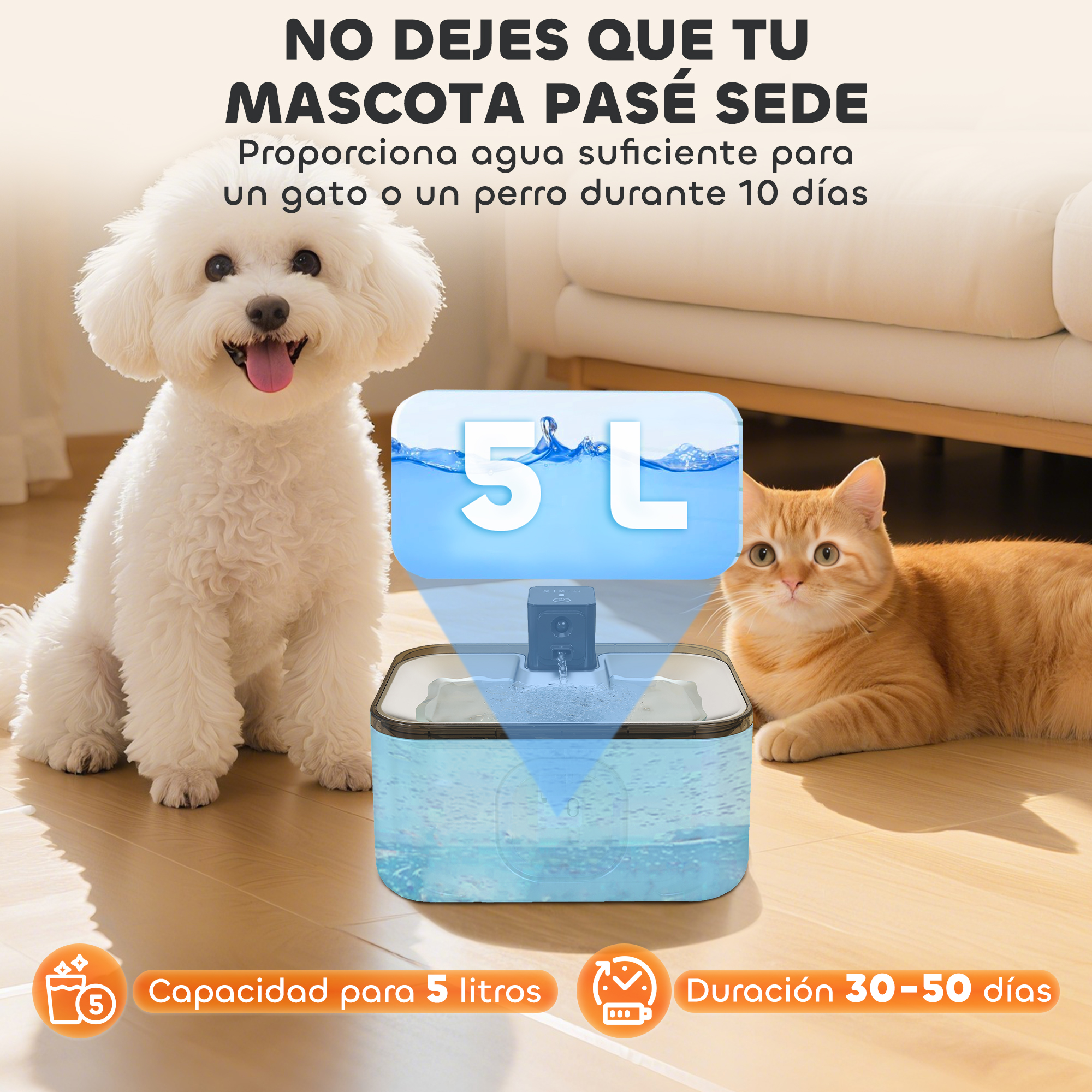 Un perro blanco y un gato naranja cerca de un dispensador de agua, texto sobre proporcionar agua a las mascotas.
