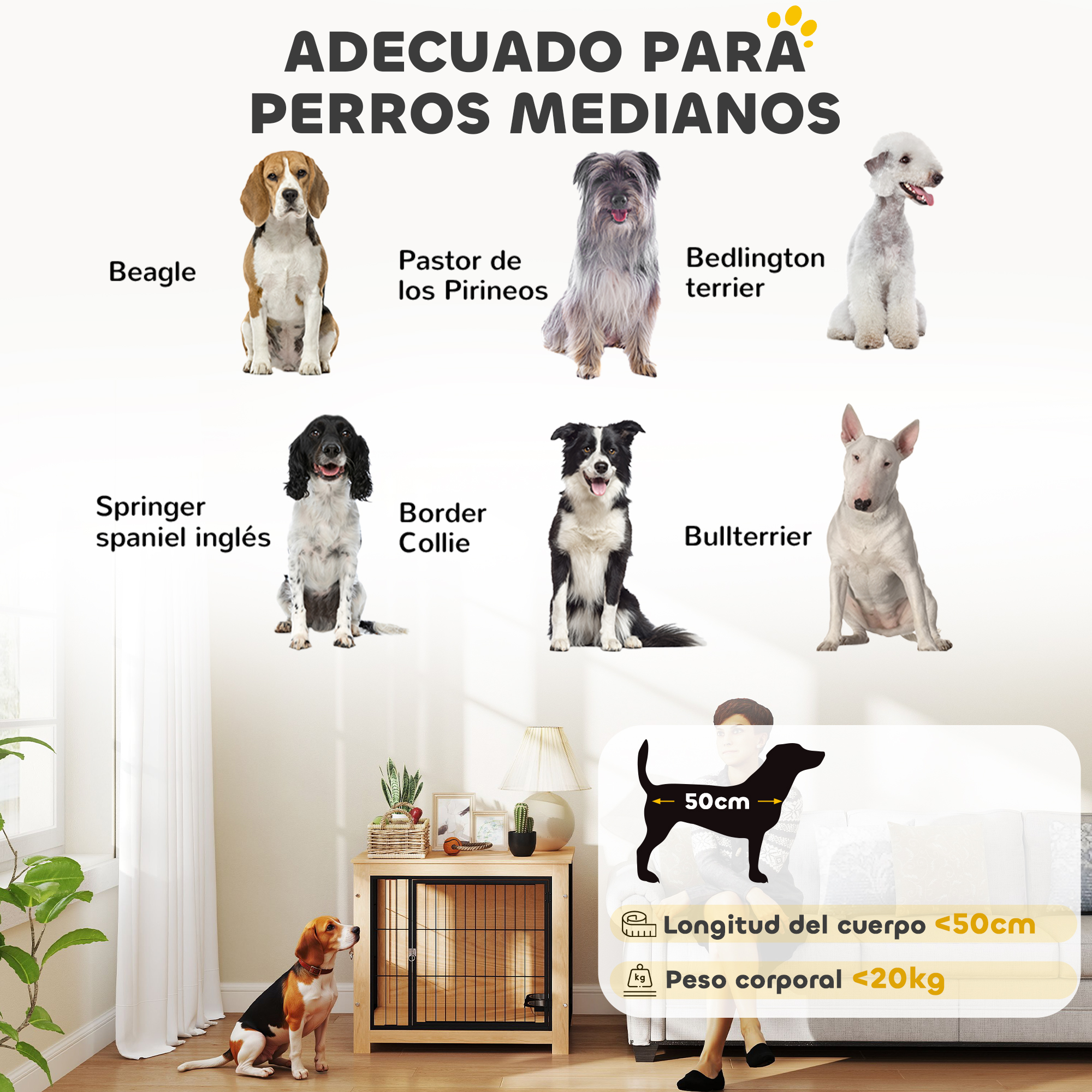 Imagen muestra siete razas de perros con etiquetas, una casa para perros y una silueta de perro. Texto: perros menores de 50 cm y 20 kg.
