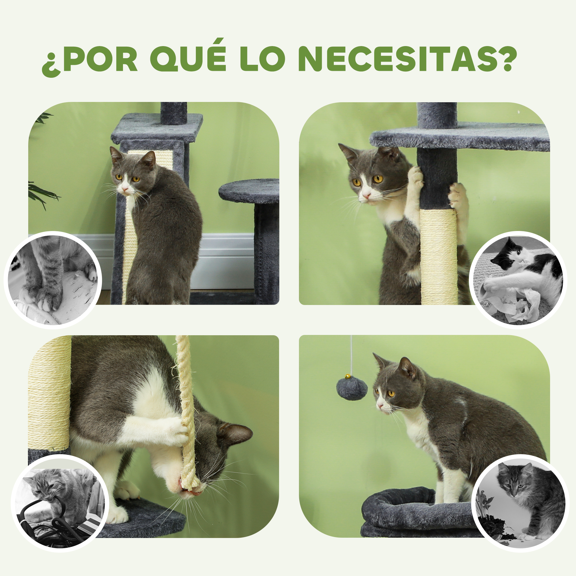 Cuatro imágenes muestran gatos interactuando con un árbol para gatos. Los gatos son grises y blancos, en diferentes poses, sobre un fondo verde.