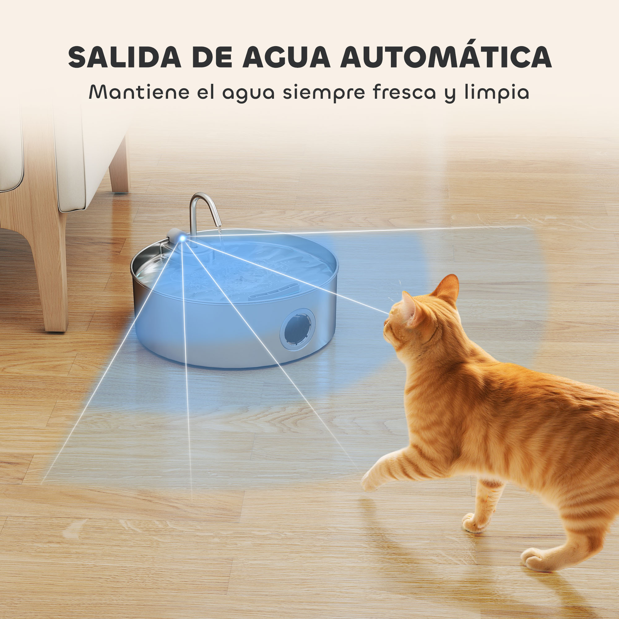 Un gato cerca de una fuente de agua automática. El texto dice 'Salida de agua automática'. El gato es naranja y la fuente azul.