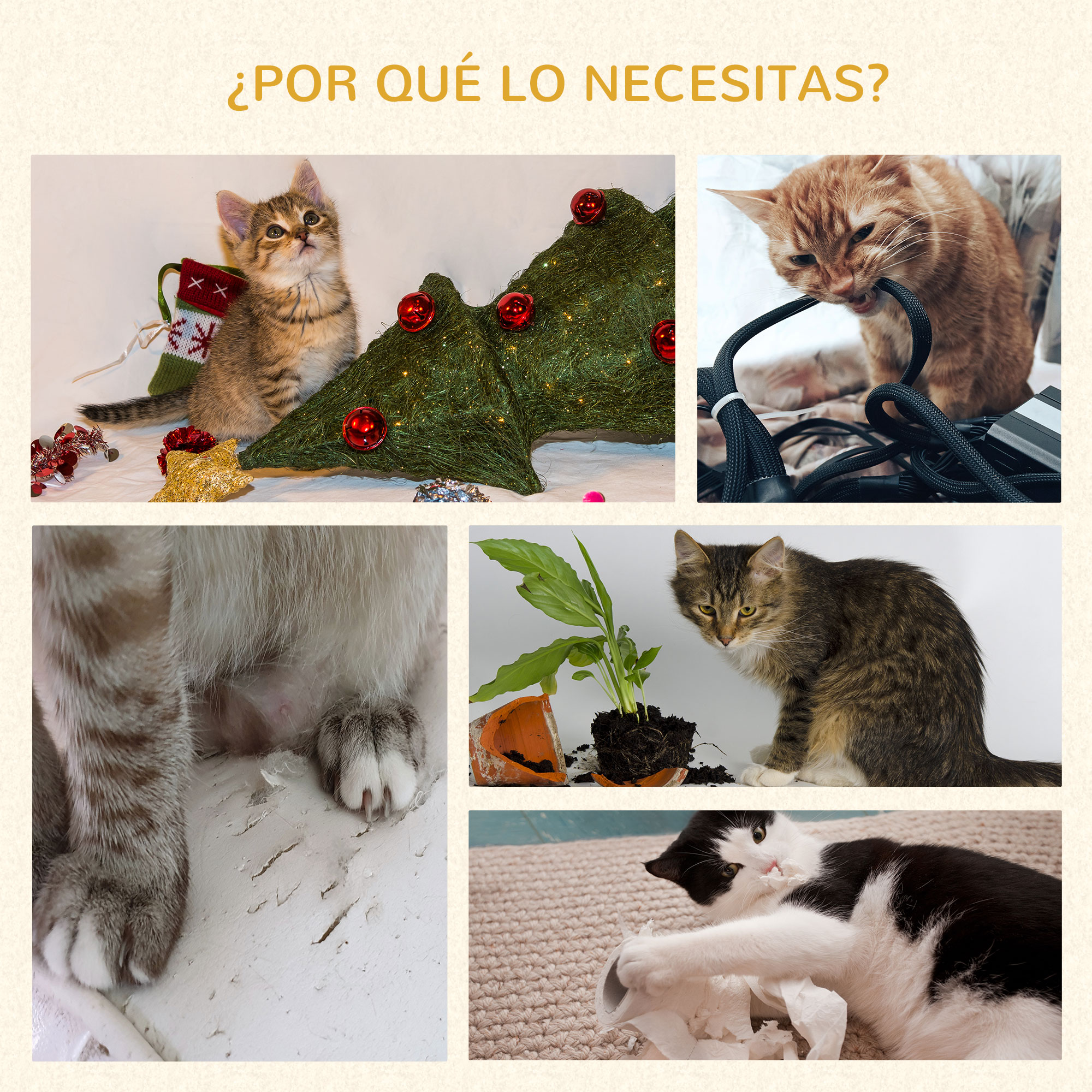 La imagen muestra varios gatos en diferentes escenarios. Uno mira hacia arriba, otro mastica un cable y otros juegan con un árbol, una planta y papel.