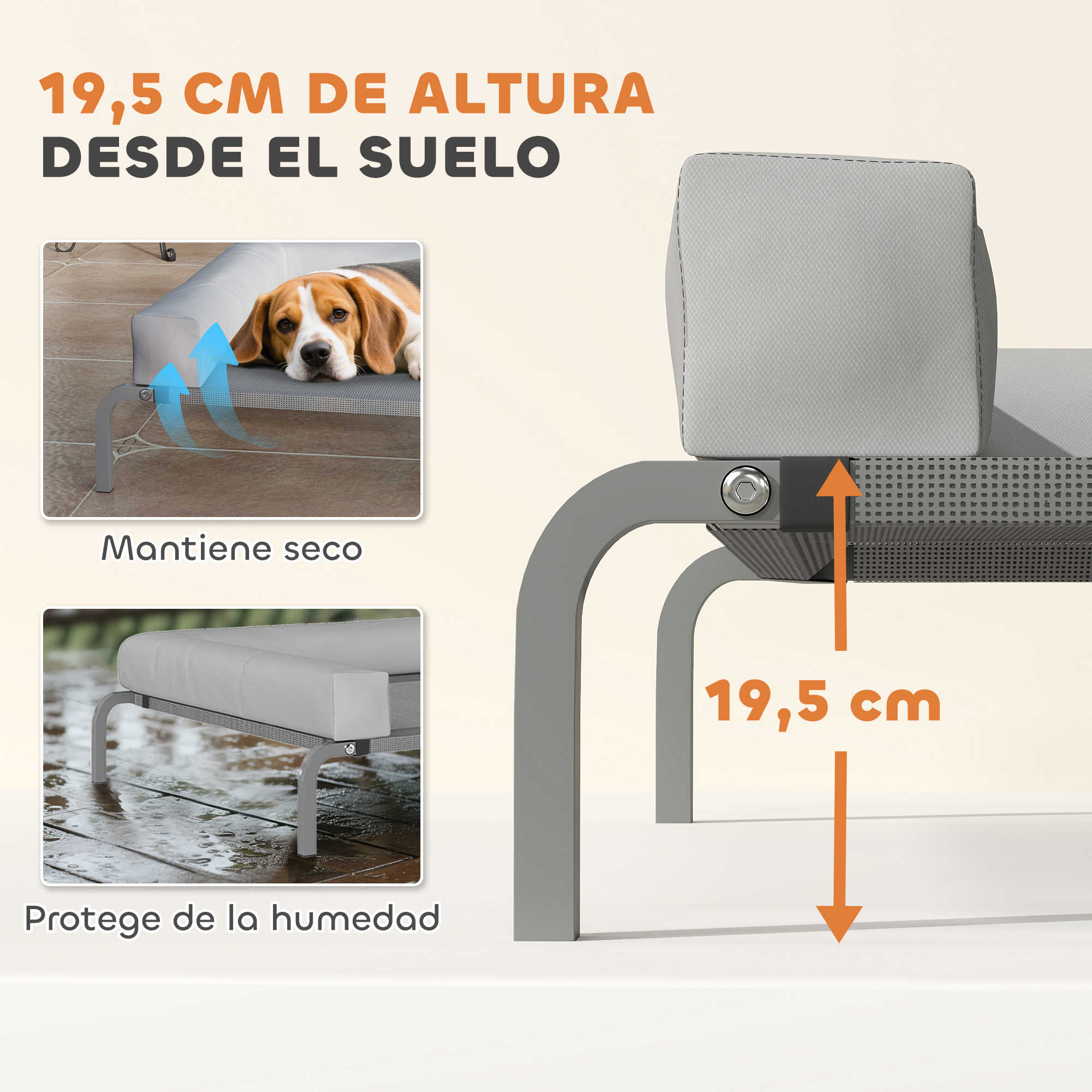Cama para perros con un perro, que muestra la altura y características como la sequedad y la protección contra la humedad.