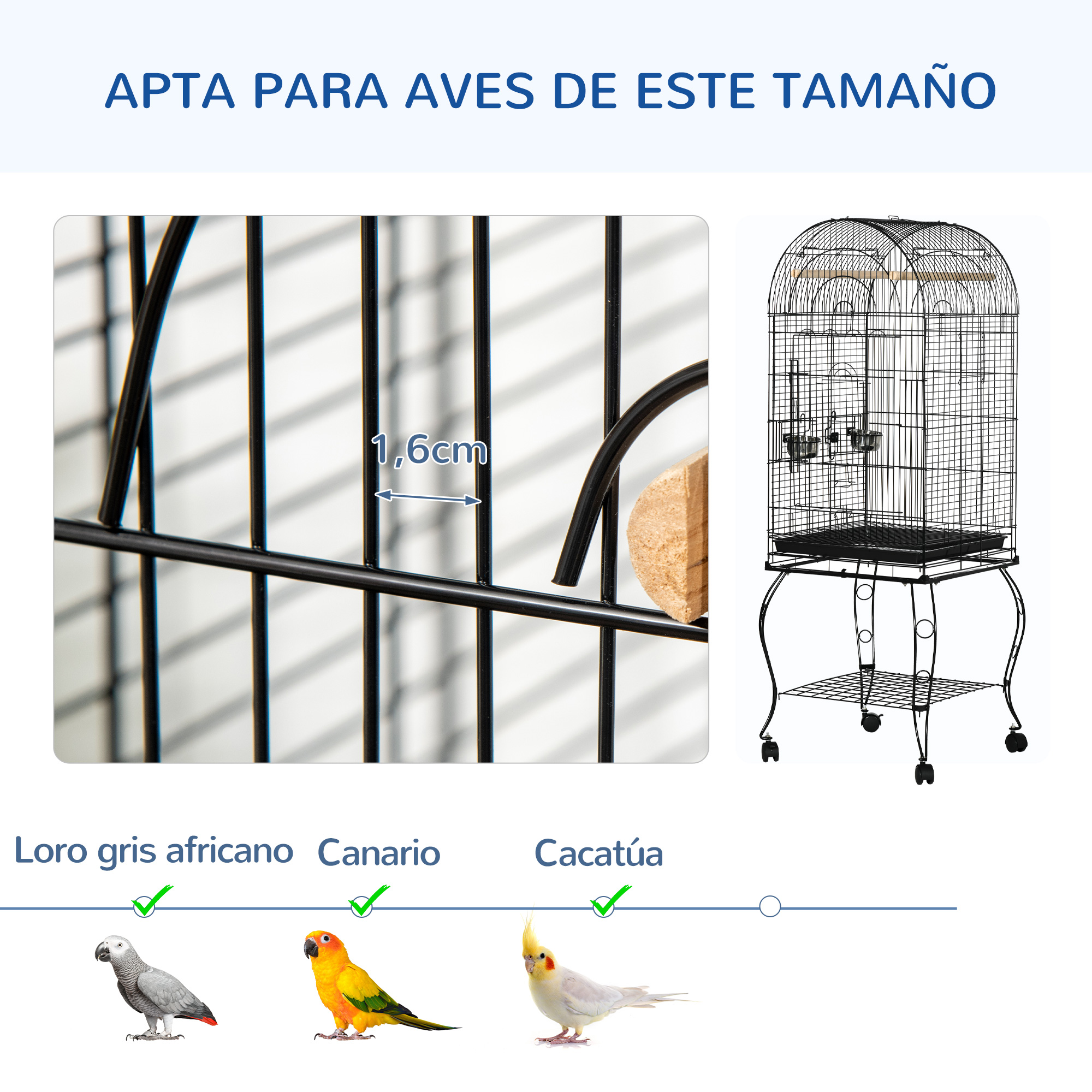 La imagen muestra una jaula para pájaros con una medida de 1,6 cm. Se muestran tres pájaros abajo: un loro gris, un canario amarillo y una cacatúa blanca.
