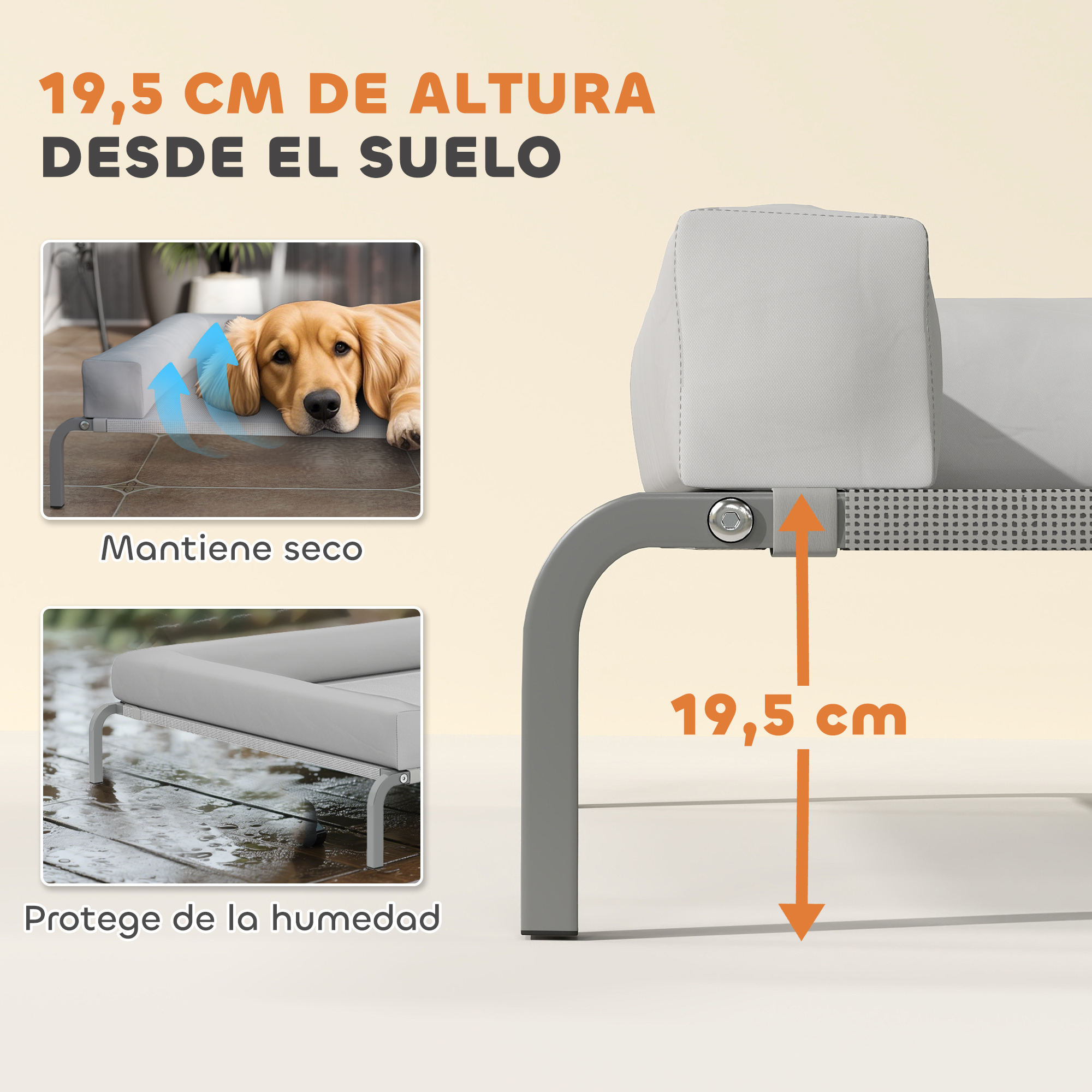 Se muestra una cama para perros, con 19,5 cm de altura desde el suelo. Tiene un marco y cojín grises. El texto destaca la sequedad y la protección contra la humedad.