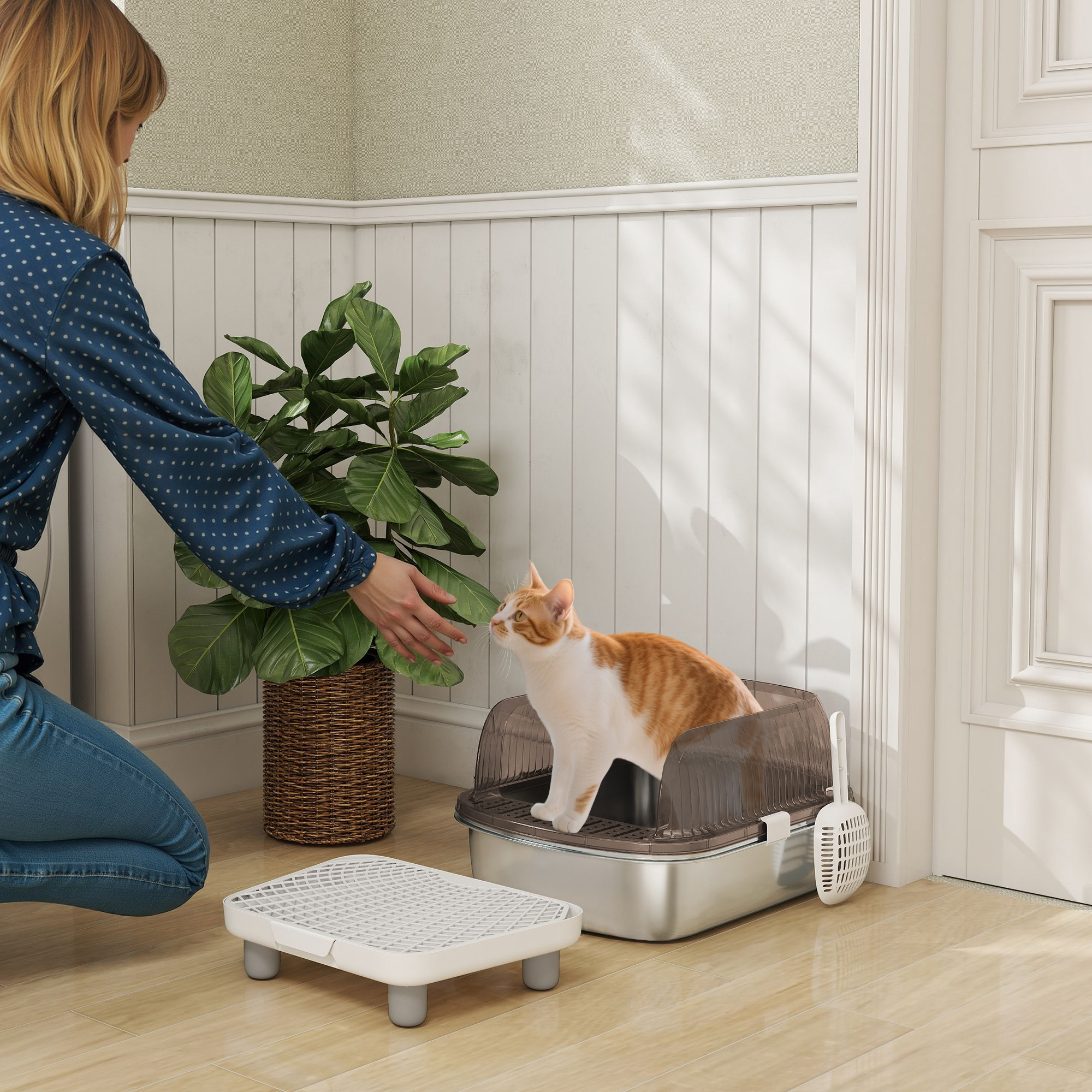 Una mujer se arrodilla cerca de un gato en una caja de arena. El gato es naranja y blanco. Una planta y un escalón están cerca.