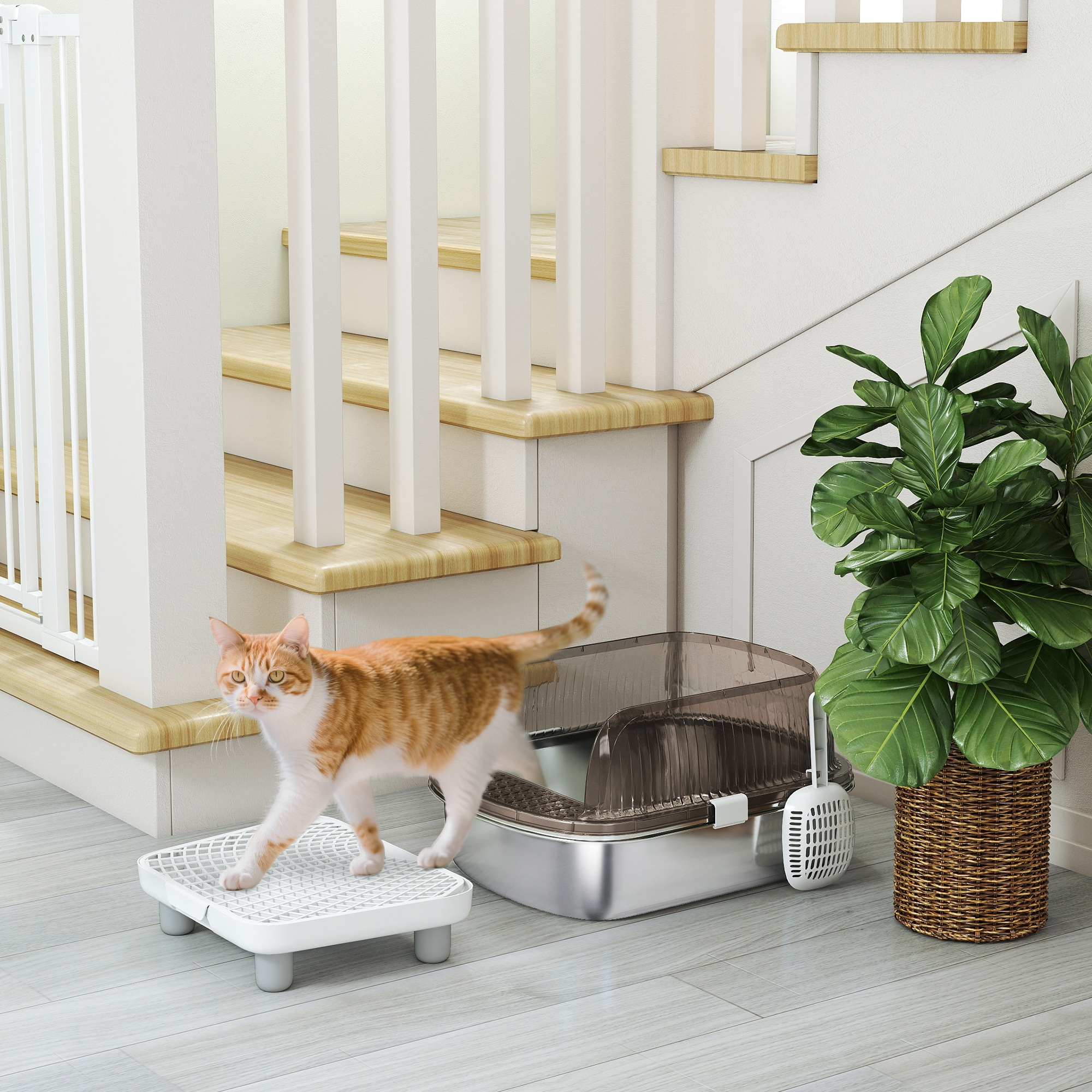 Un gato naranja y blanco sale de una caja de arena, junto a una planta y escaleras.