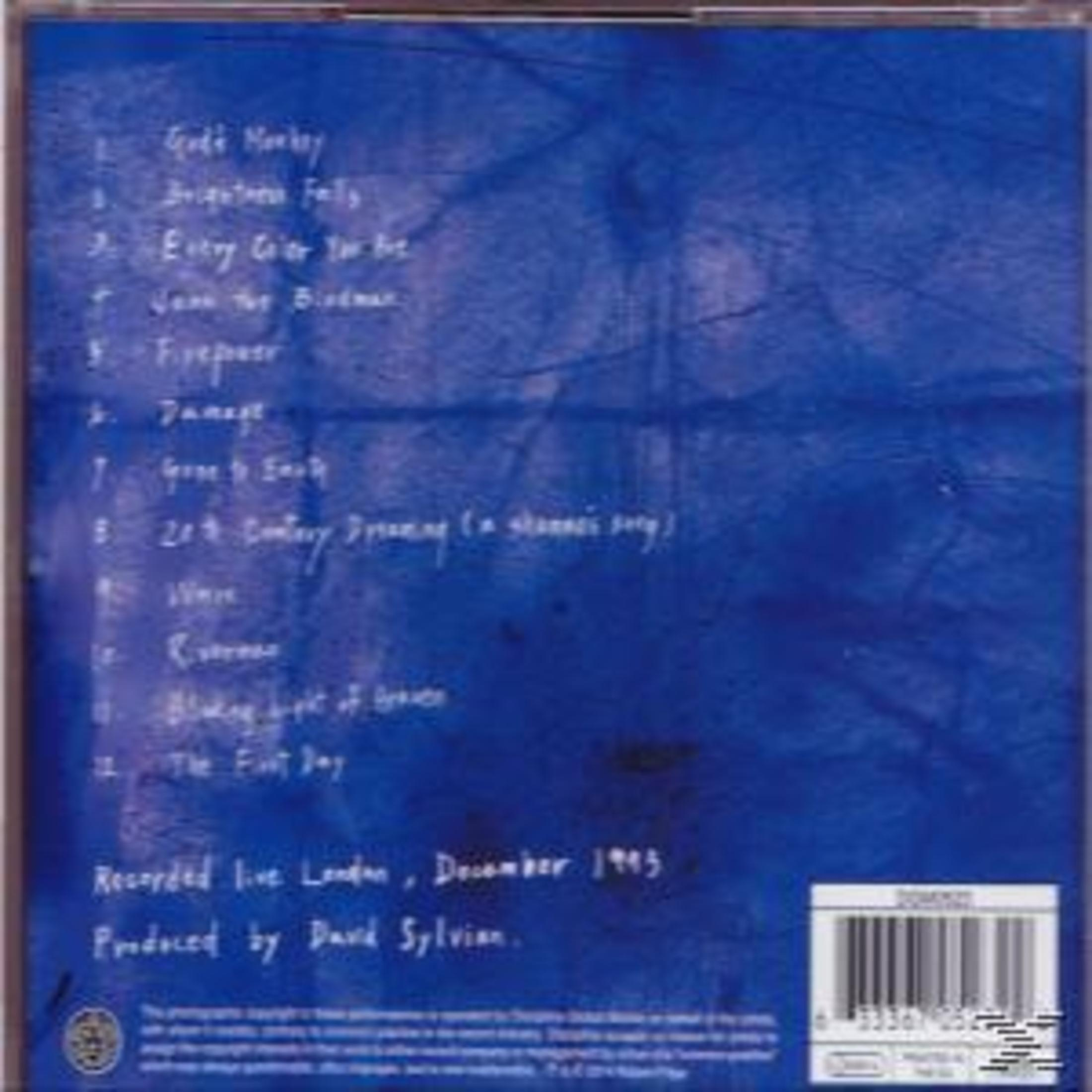 Blaues Albumcover mit handgeschriebenen Songtiteln. Enthält 'God's Monkey', 'Brightness Falls' und 'Every Color You Are'.