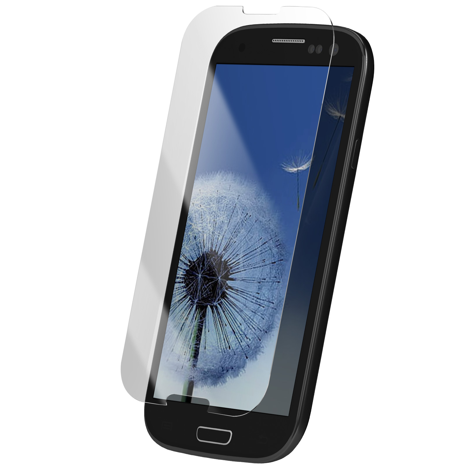 Smartphone nero con protezione schermo. Schermo mostra un dente di leone. Sfondo bianco. Vista angolata.