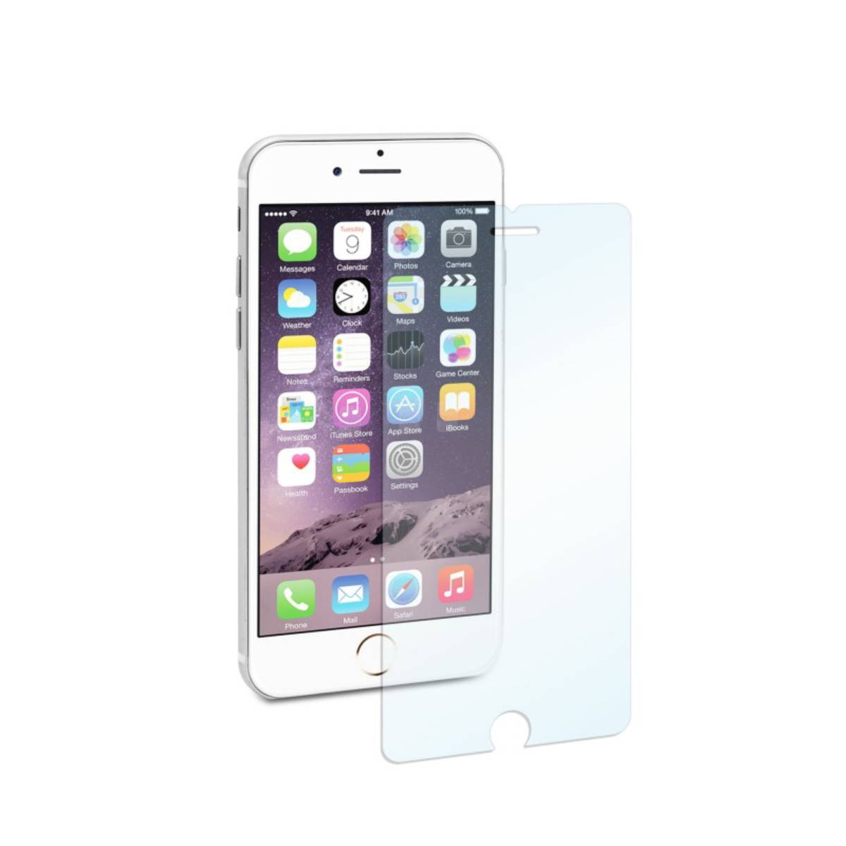 Un iPhone bianco con una protezione per lo schermo. Lo schermo mostra le icone delle app. Sfondo bianco.