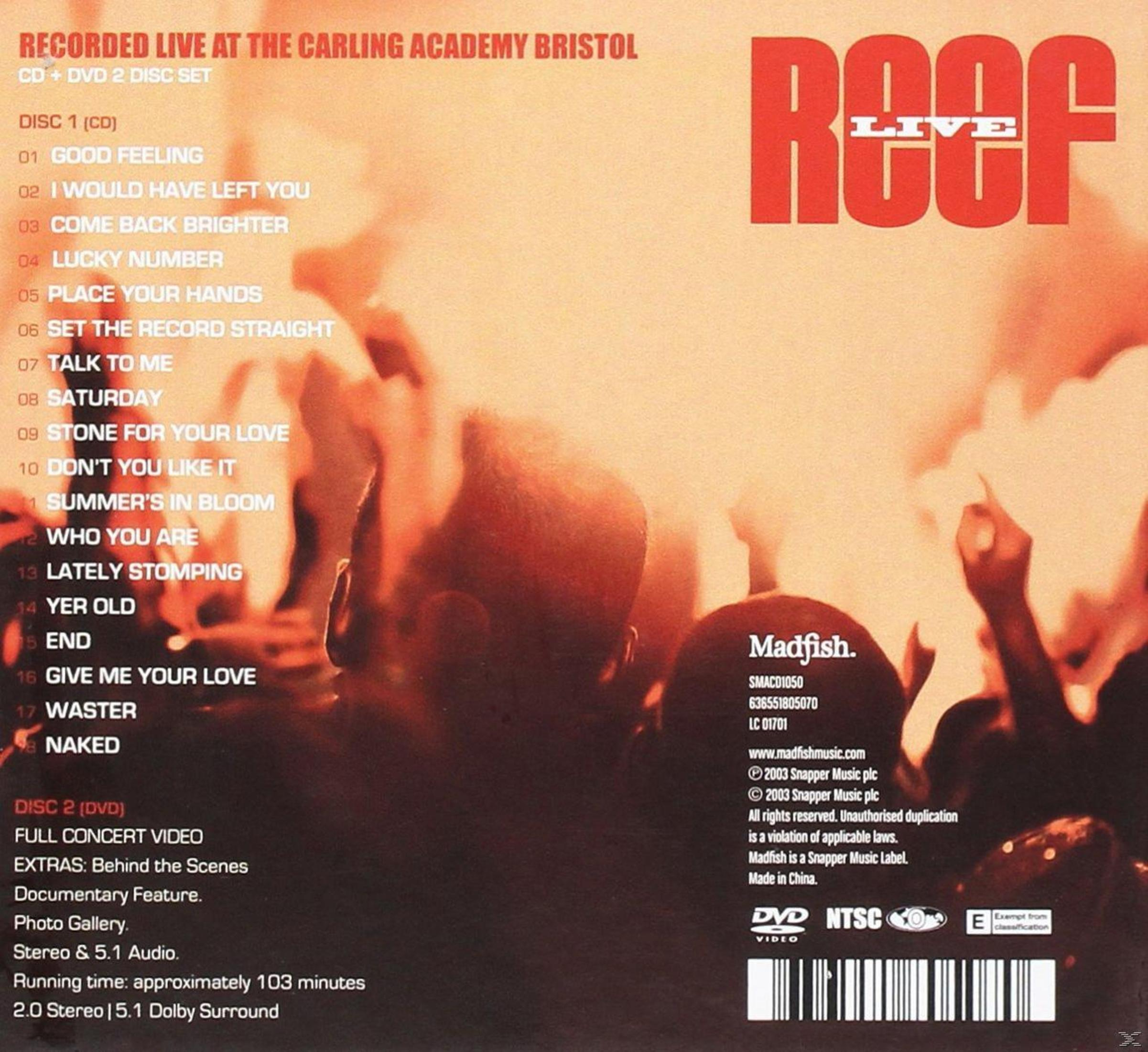 CD and DVD set cover. Red 'ROOF LIVE' logo. Tracklist and concert details are listed. Crowd silhouettes in the background.