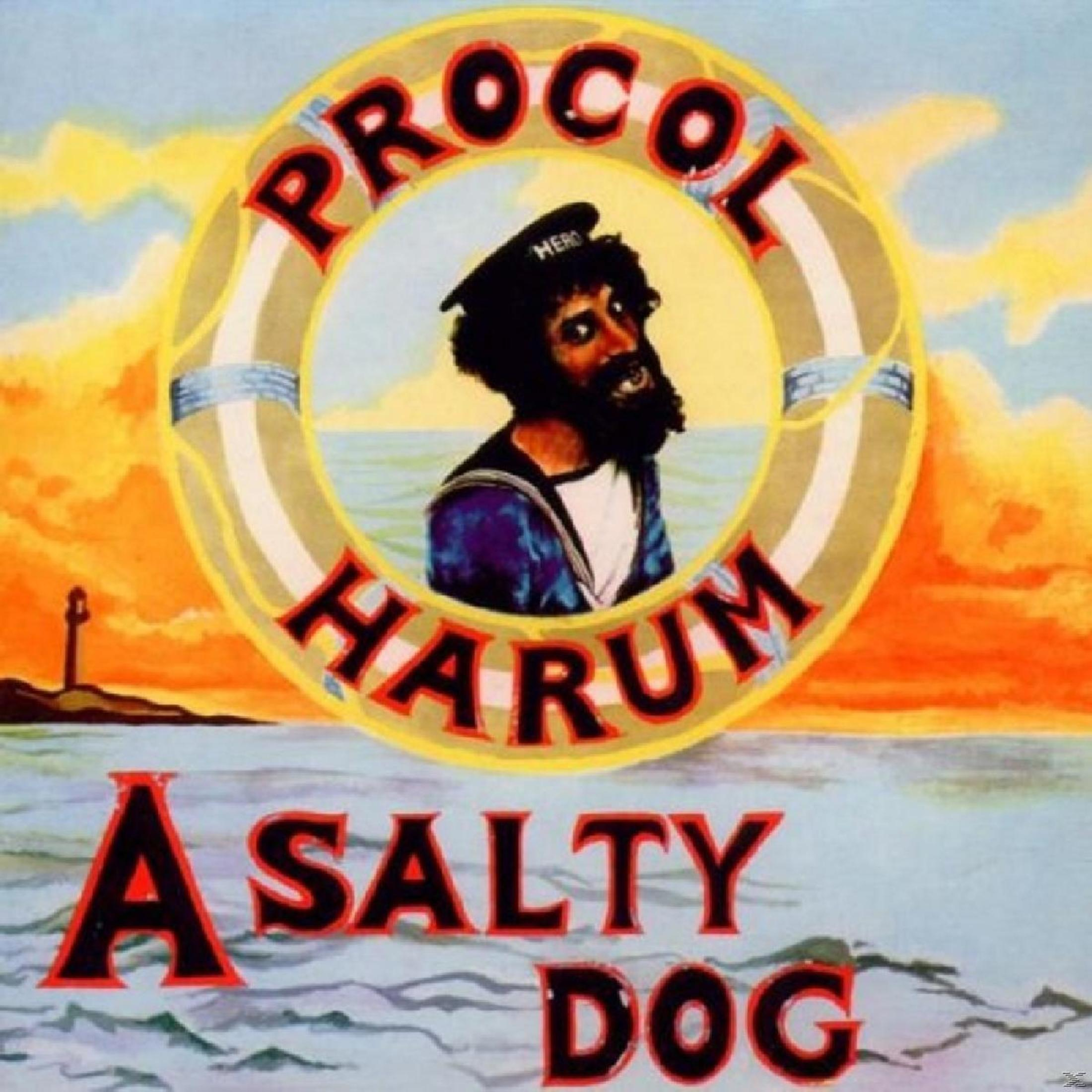 Albumcover für 'A Salty Dog' von Procol Harum. Ein Seemann in einer Schwimmweste mit Meer und Leuchtturm im Hintergrund.