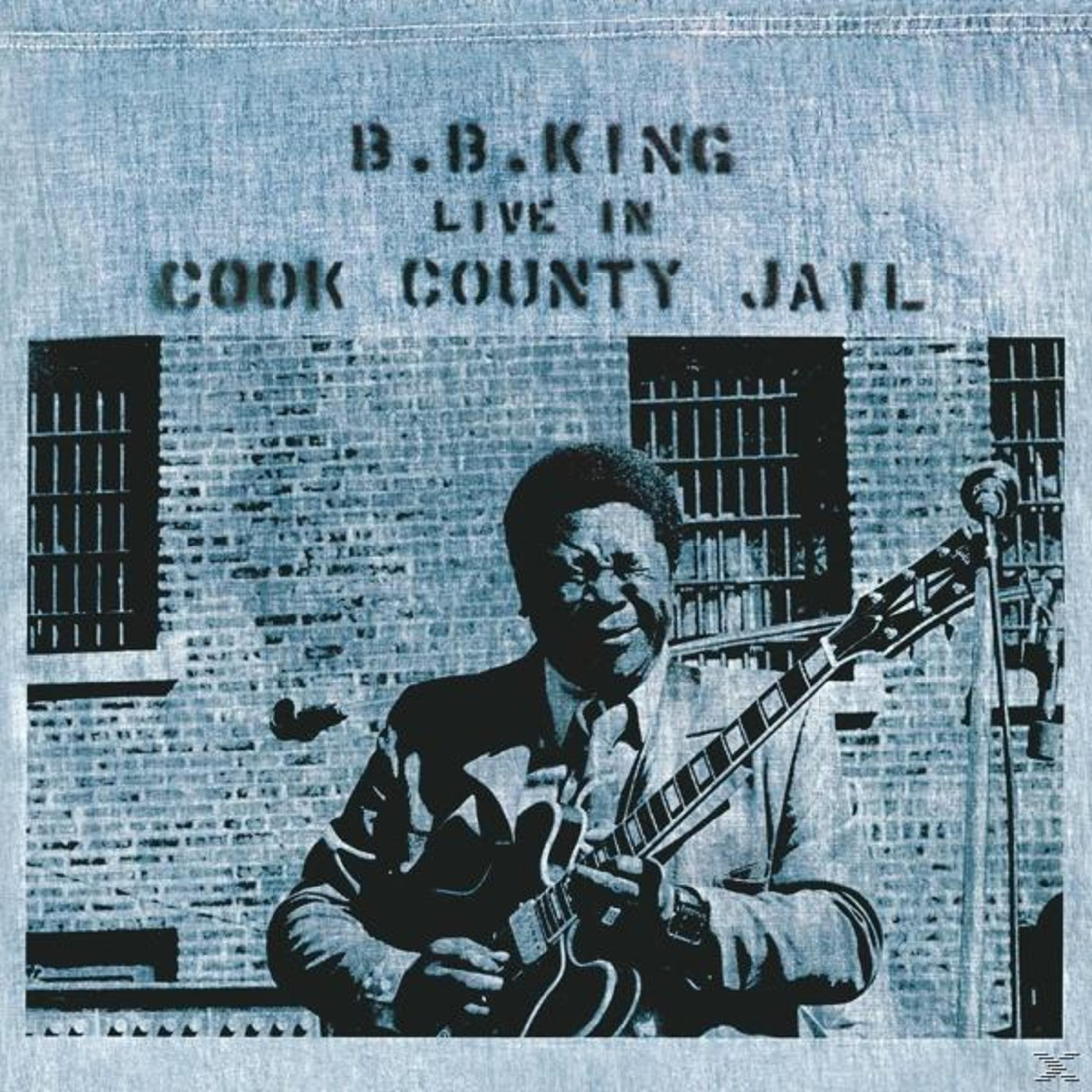 B.B. King suona la chitarra nel Cook County Jail. La scena è in toni blu e bianchi, con sbarre e muri di mattoni sullo sfondo.