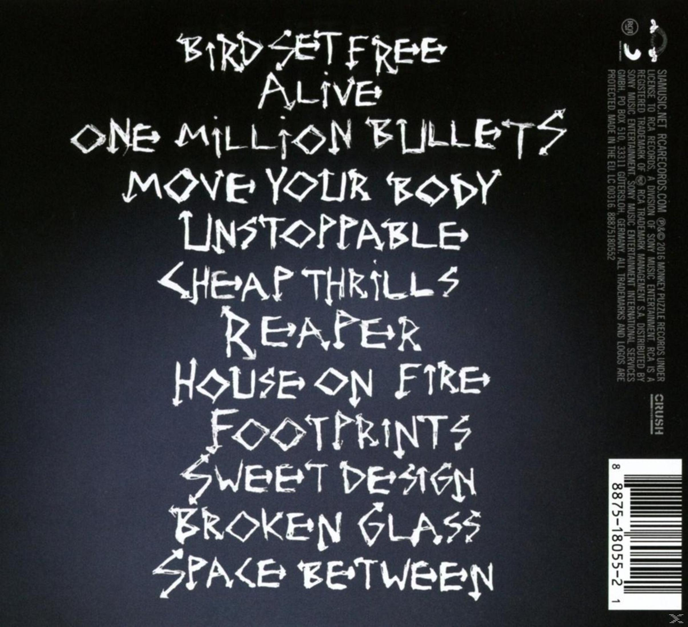 Copertina dell'album con titoli di canzoni in bianco su sfondo nero. I titoli includono 'Bird Set Free', 'Alive' e altro.