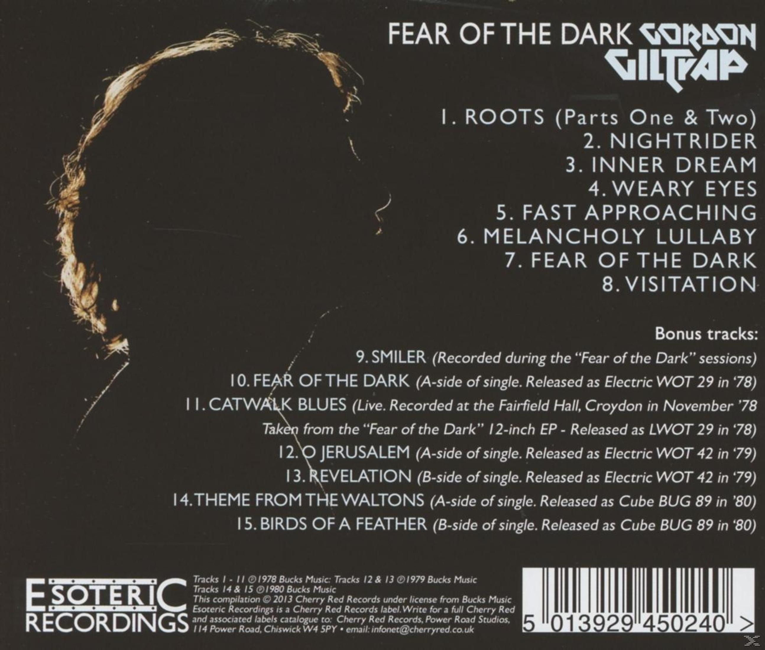Albumcover mit einer Silhouette einer Person, Text lautet 'Fear of the Dark' und eine Liste von Songs.