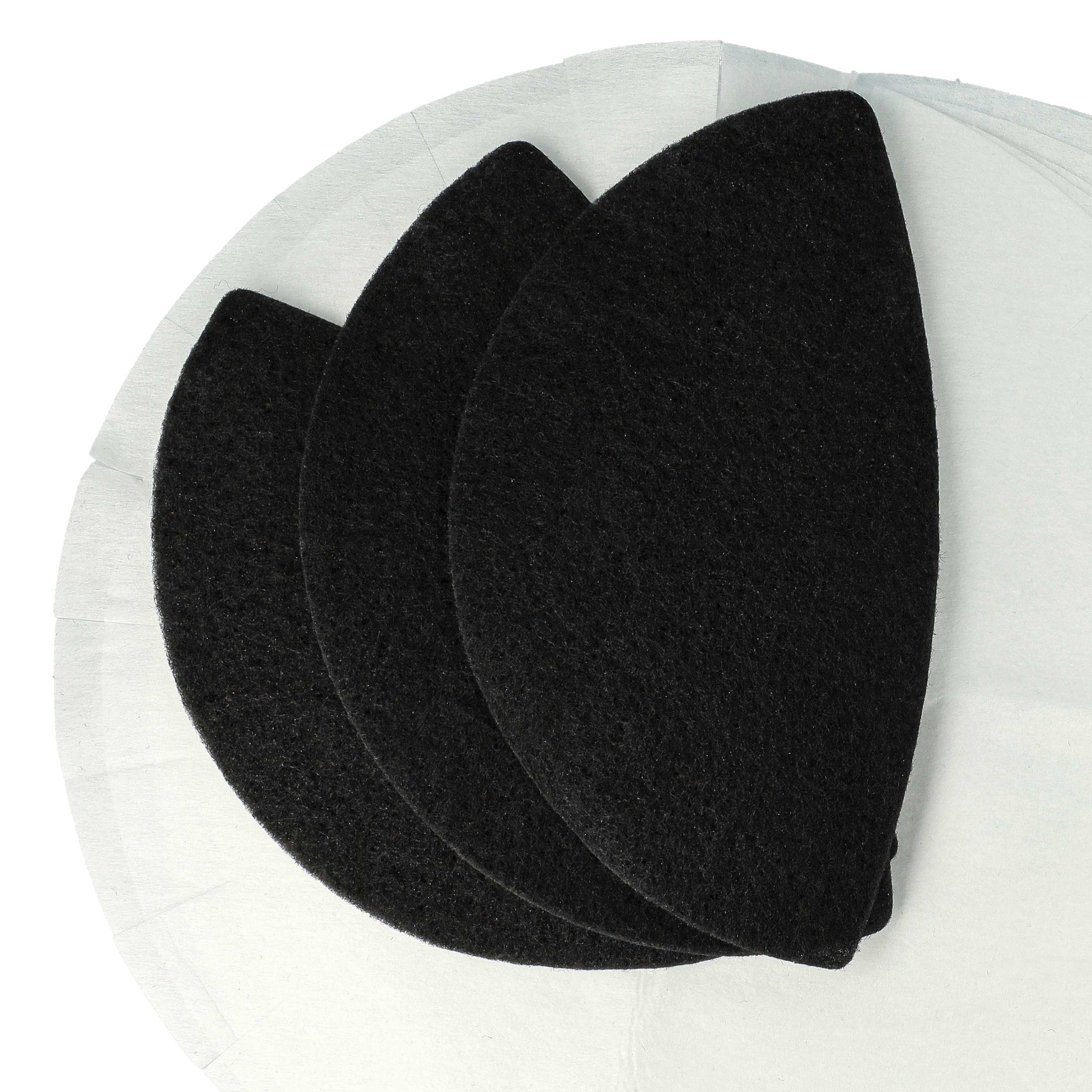 Drei schwarze, ovale Filter liegen auf einem weißen, runden Papierfilter. Der Hintergrund ist weiß.