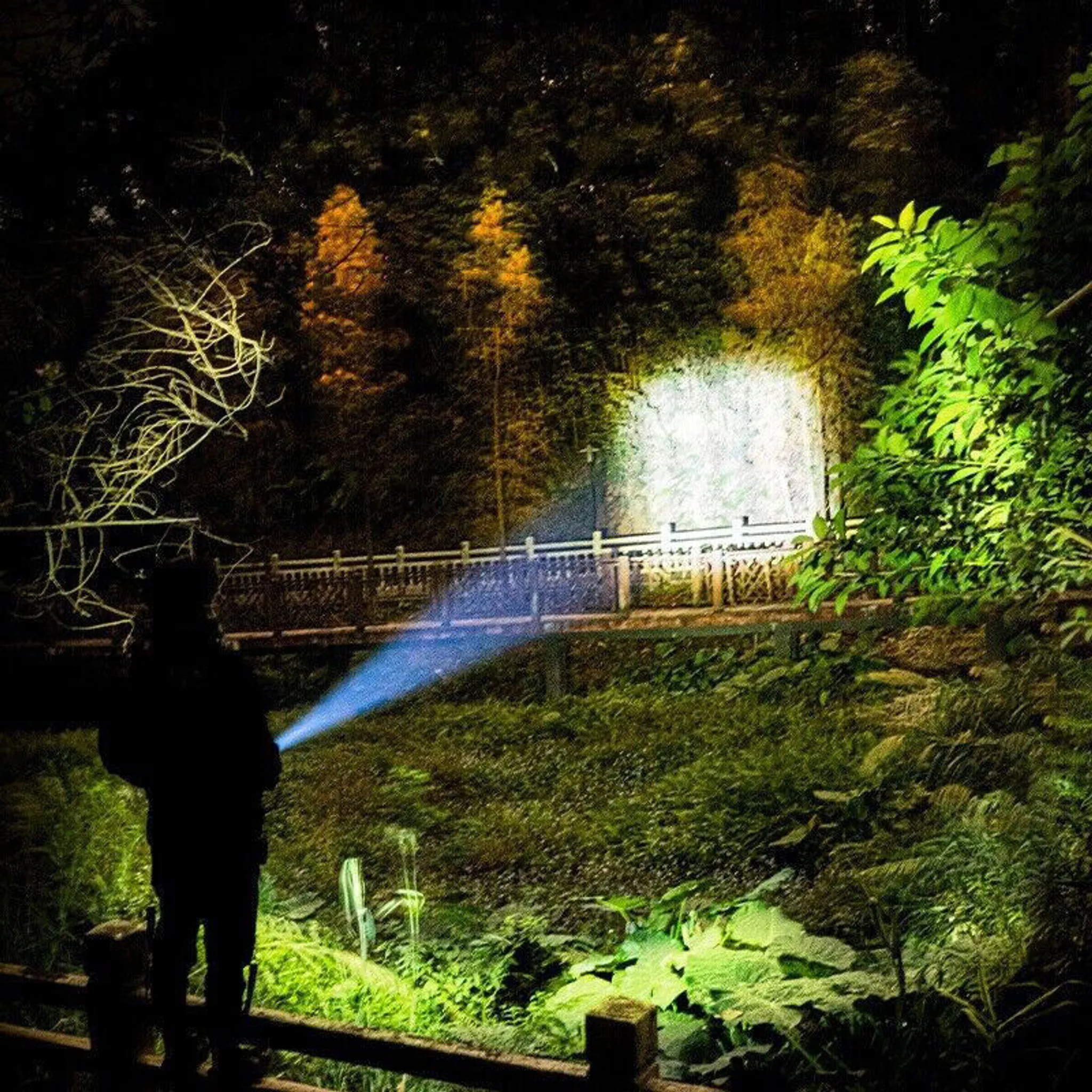 Eine Person leuchtet mit einer blauen Taschenlampe in einem dunklen Wald. Im Hintergrund sind eine Brücke und Bäume zu sehen.