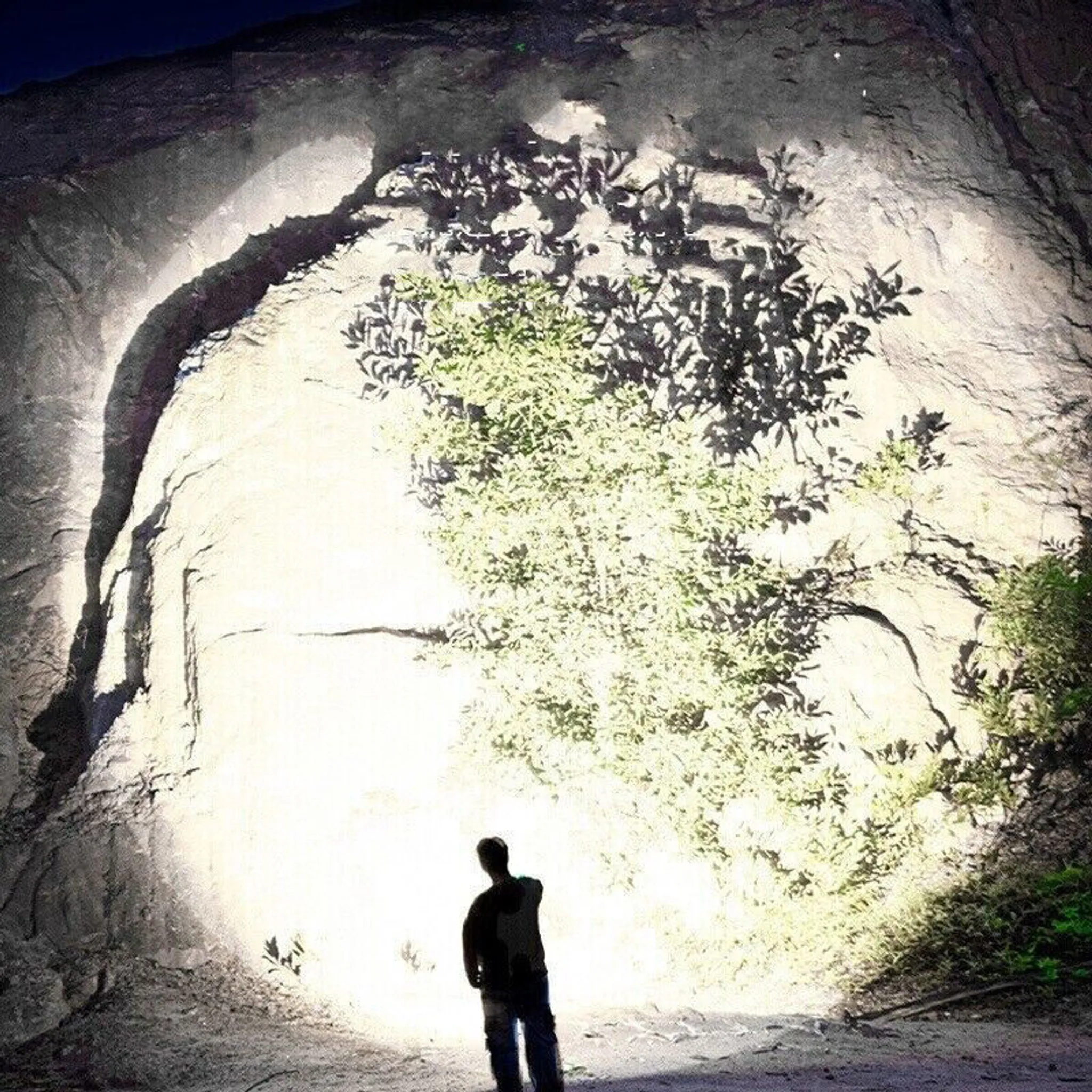 Eine Person steht vor einer großen, beleuchteten Felsformation mit Vegetation. Die Szene deutet auf einen Höhleneingang hin.