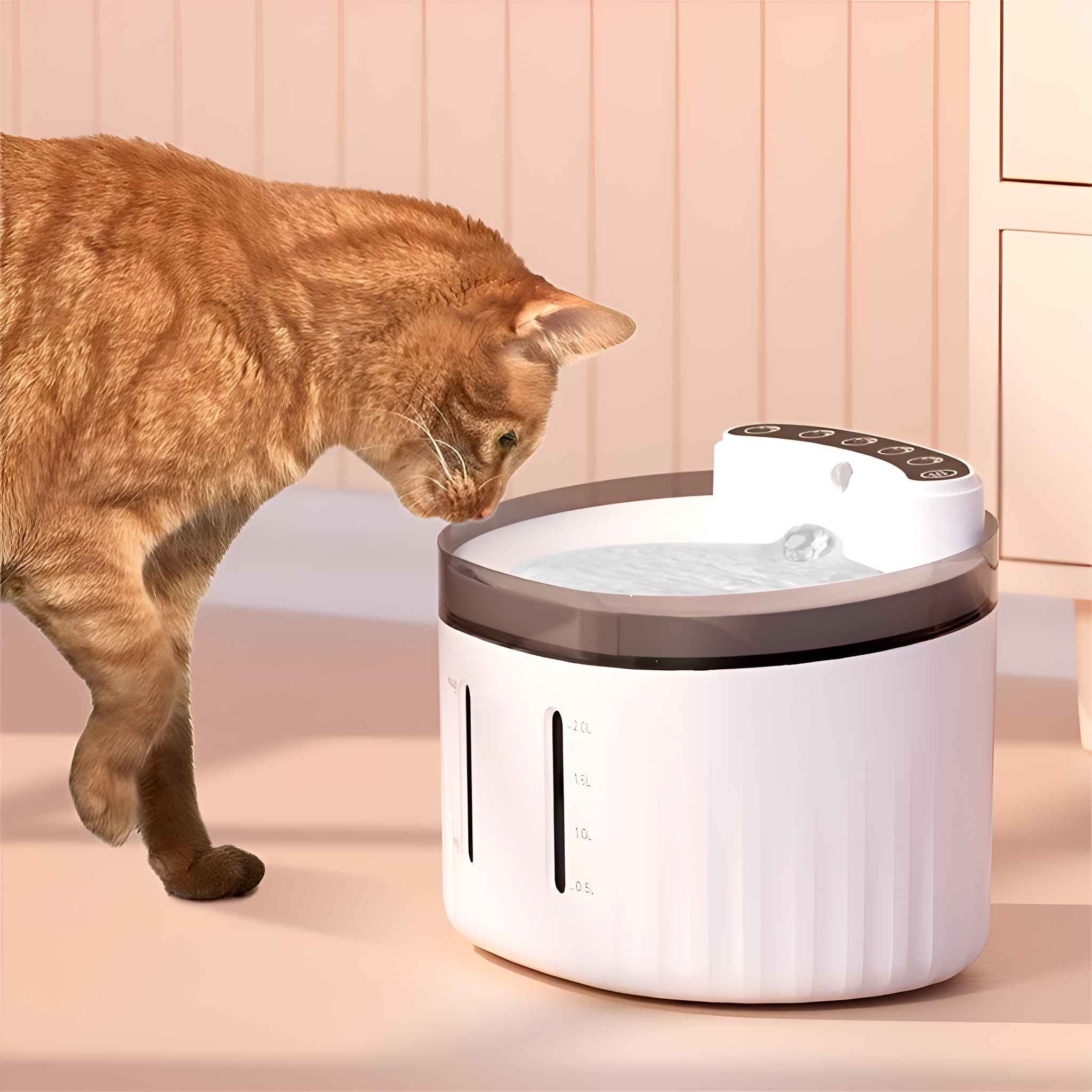 Eine rot getigerte Katze betrachtet einen weißen Haustier-Wasserbrunnen. Der Brunnen hat einen dunklen Rand und klares Wasser. Der Hintergrund ist rosa.