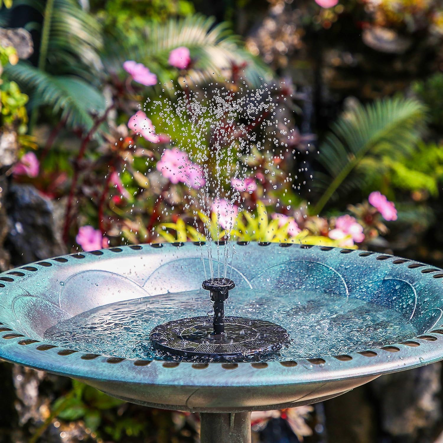 Wasserfontäne in einem Garten. Wasser spritzt aus einer schwarzen Düse in eine türkisfarbene Schüssel. Rosa Blumen und grüne Pflanzen sind im Hintergrund.