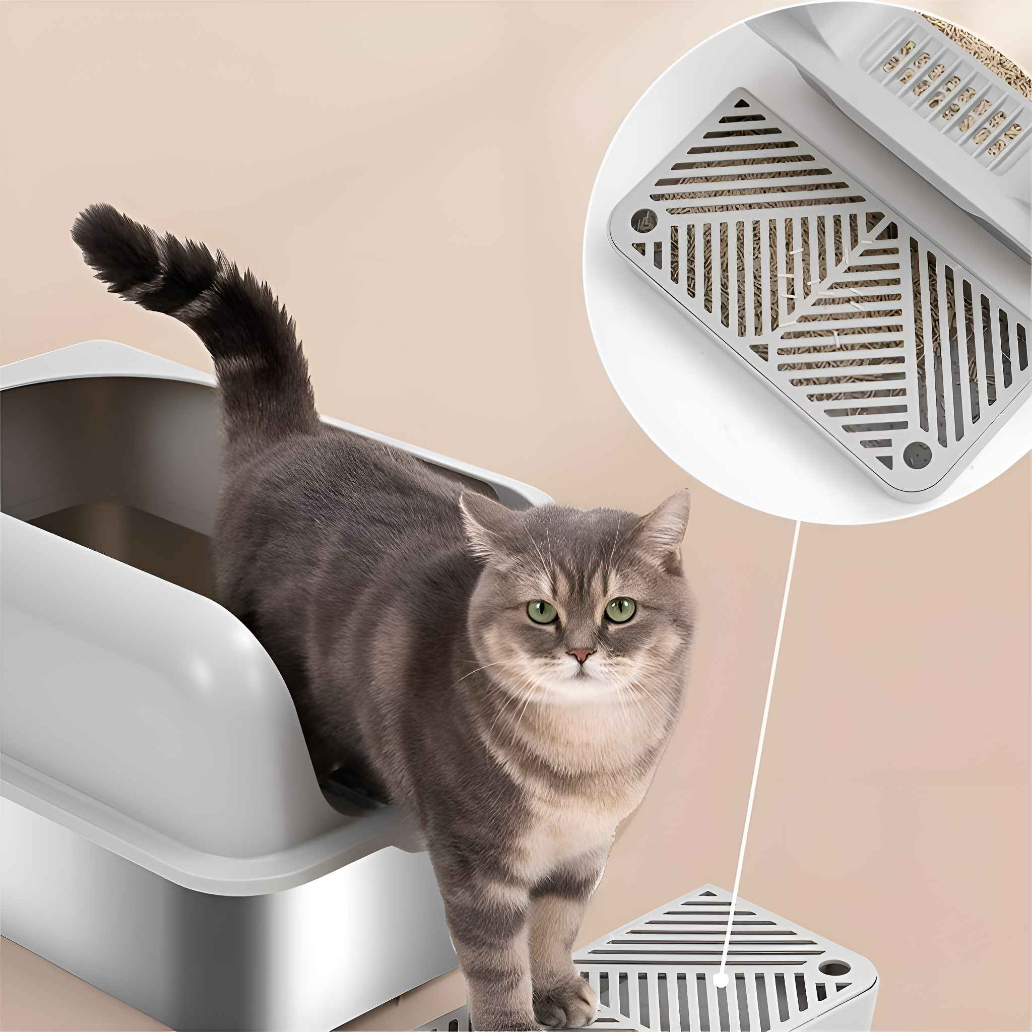 Graue Katze steht neben einer weißen Katzentoilette. Detail zeigt eine Nahaufnahme des Filters der Katzentoilette.