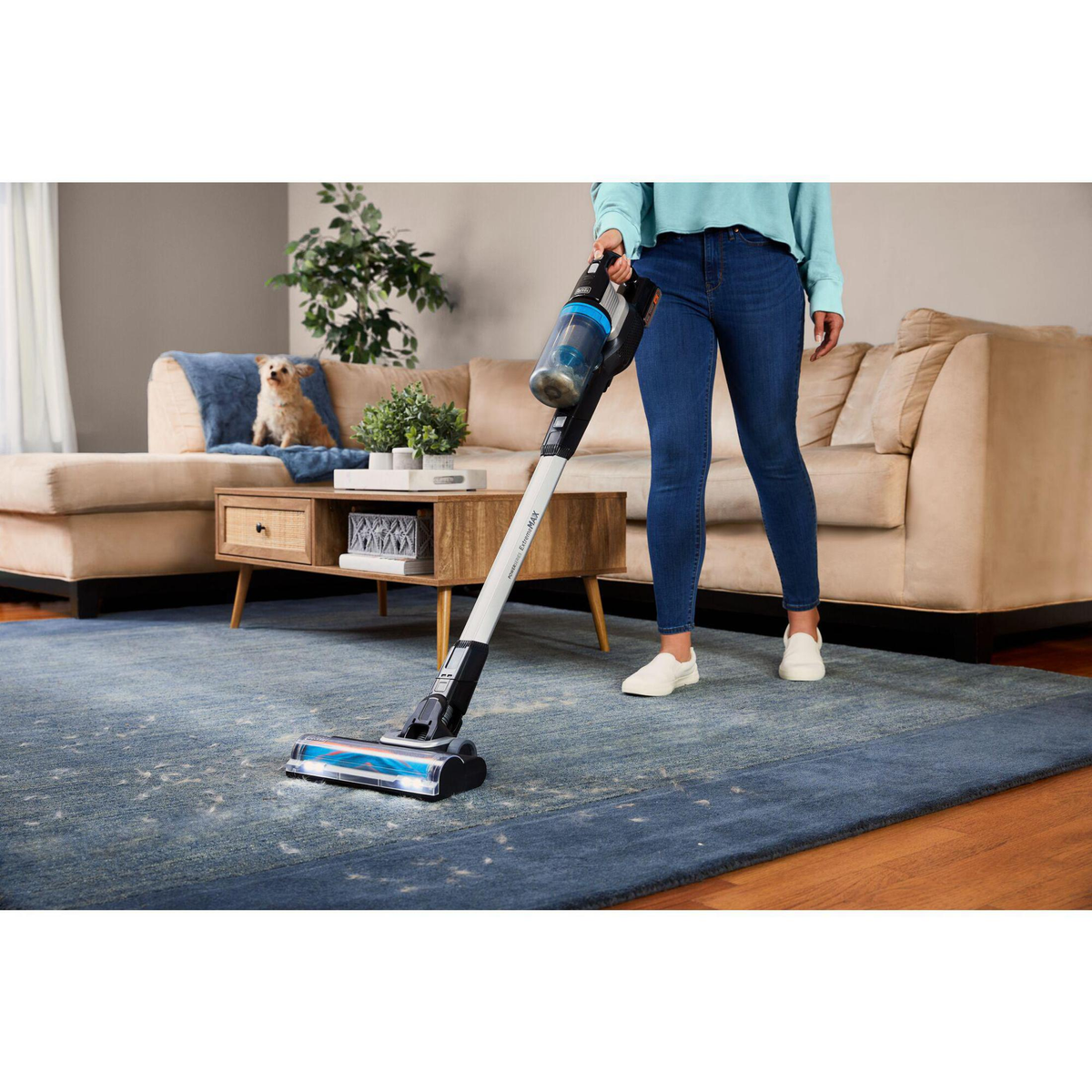 Eine Frau saugt einen blauen Teppich mit einem kabellosen Staubsauger. Im Hintergrund sind ein Sofa und ein Hund.