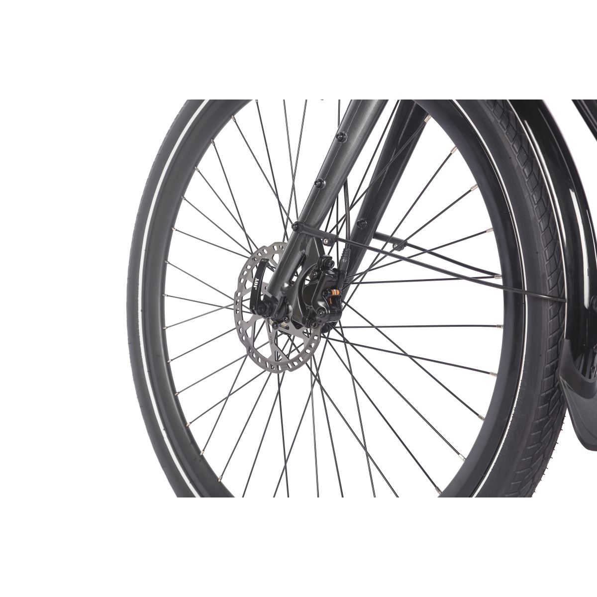 Zbliżenie przedniego koła roweru. Widoczna opona, szprychy, hamulec tarczowy i część przedniego widelca. Tło jest białe.