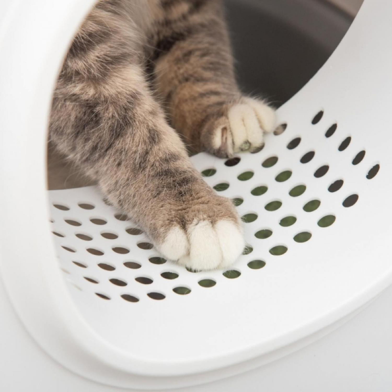 Katzenpfoten mit weißen Ballen in einer weißen Katzentoilette. Das Fell der Katze ist grau und braun. Perforierte weiße Oberfläche.