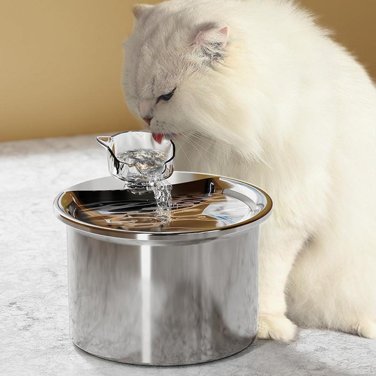 Eine weiße Katze trinkt aus einem Wasserbrunnen. Der Brunnen ist aus Edelstahl. Wasser fließt aus einer kleinen Glasschale.