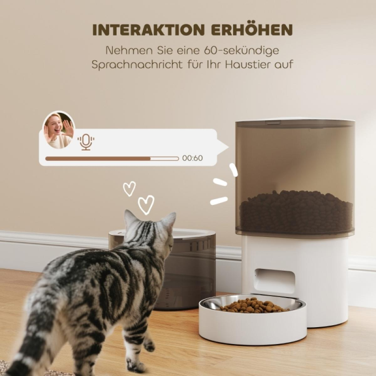 Eine Katze nähert sich einem Haustierfutterautomaten. Der Futterautomat hat einen transparenten Behälter. Eine Schüssel enthält Futter.