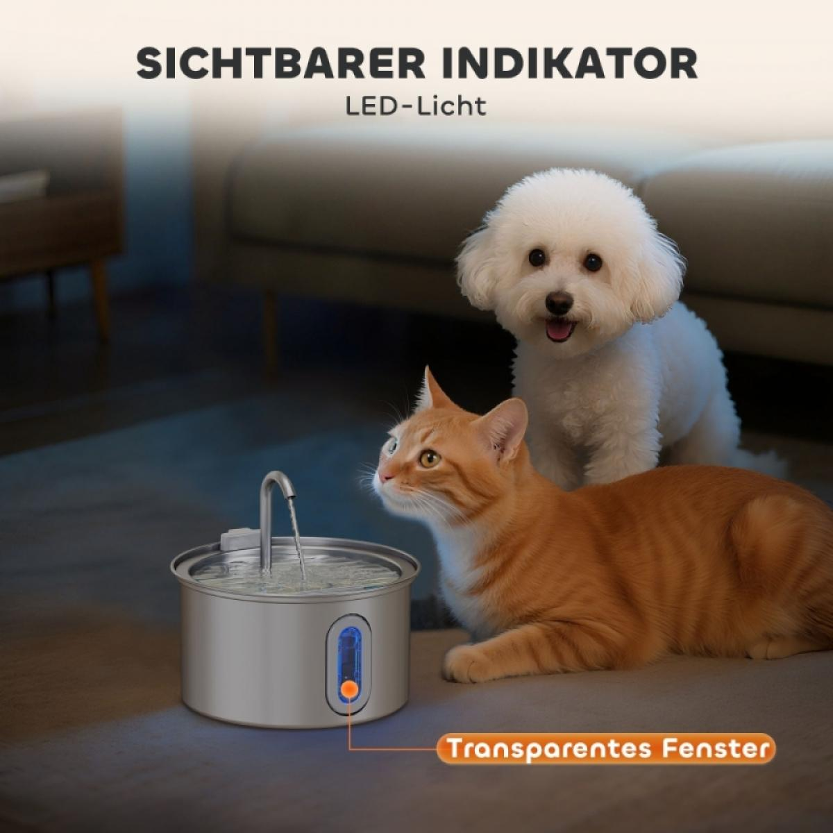 Eine orange Katze und ein weißer Hund neben einem Trinkbrunnen für Haustiere. Der Brunnen hat fließendes Wasser, und die Katze schaut es an.