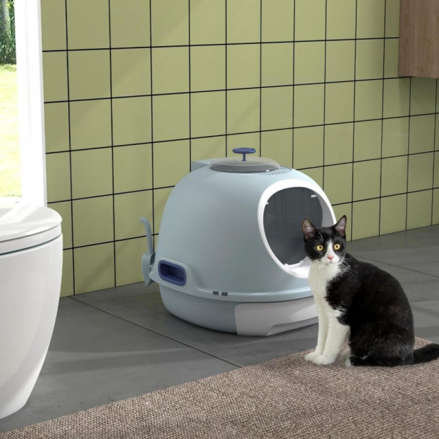 Eine schwarz-weiße Katze sitzt auf einem Teppich. Hinter der Katze befindet sich eine blaue Katzentoilette. Im Hintergrund ist eine weiße Toilette zu sehen.