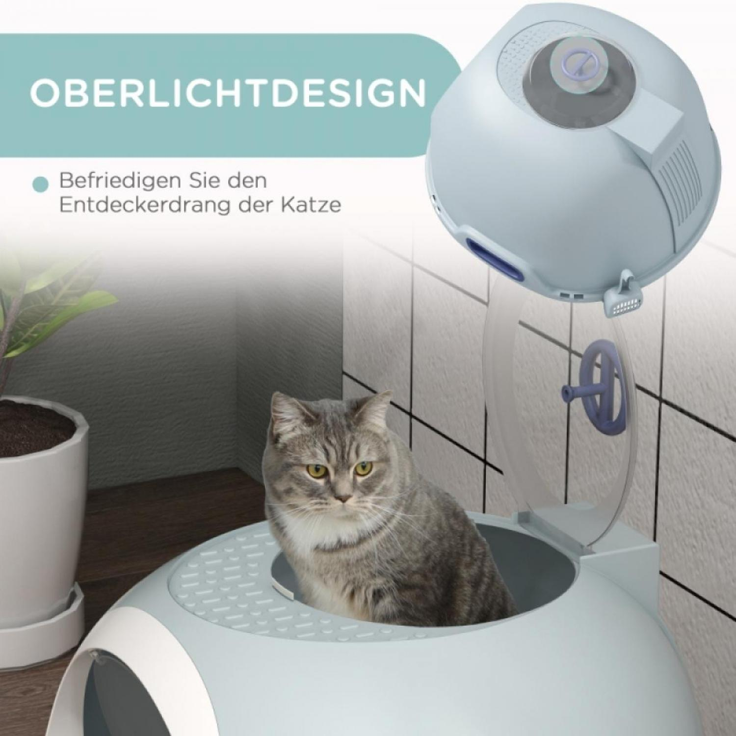 Eine graue Katze sitzt in einer hellblauen Katzentoilette. Die Box ist offen und die Katze schaut in die Kamera. Ein Blumentopf ist im Hintergrund.