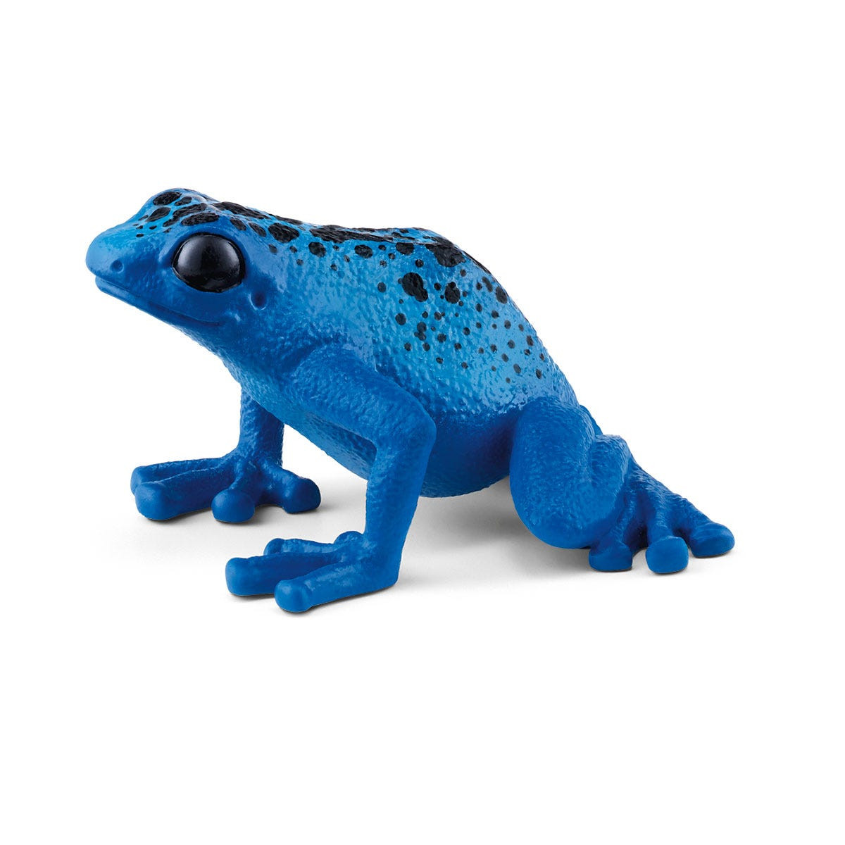 Ein blaues Froschspielzeug mit schwarzen Punkten auf Rücken und Kopf. Es sitzt auf einer weißen Oberfläche.