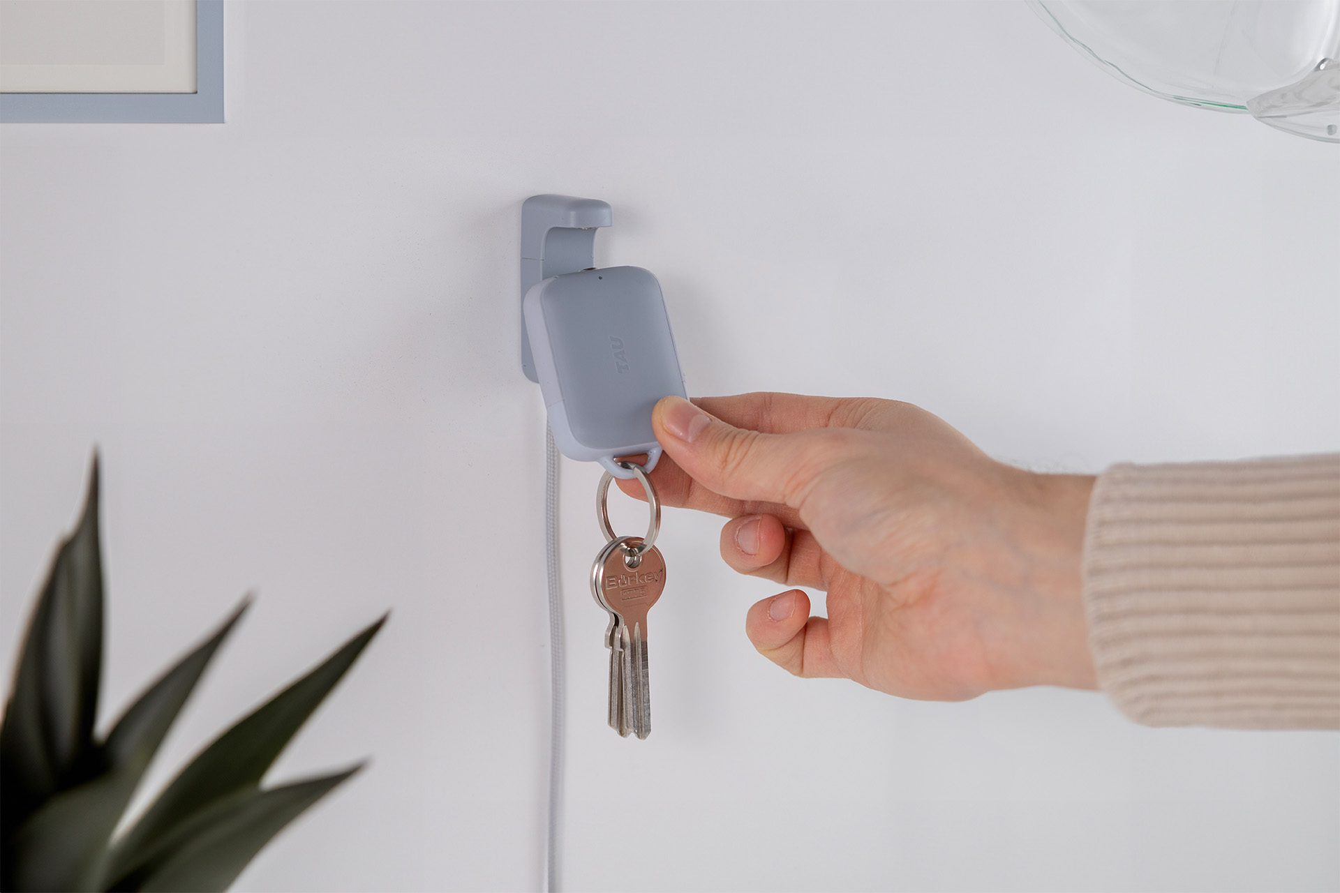 Een hand verwijdert sleutels van een grijze sleutelhouder aan de muur. Sleutels zijn zilver. Een kamerplant staat eronder.
