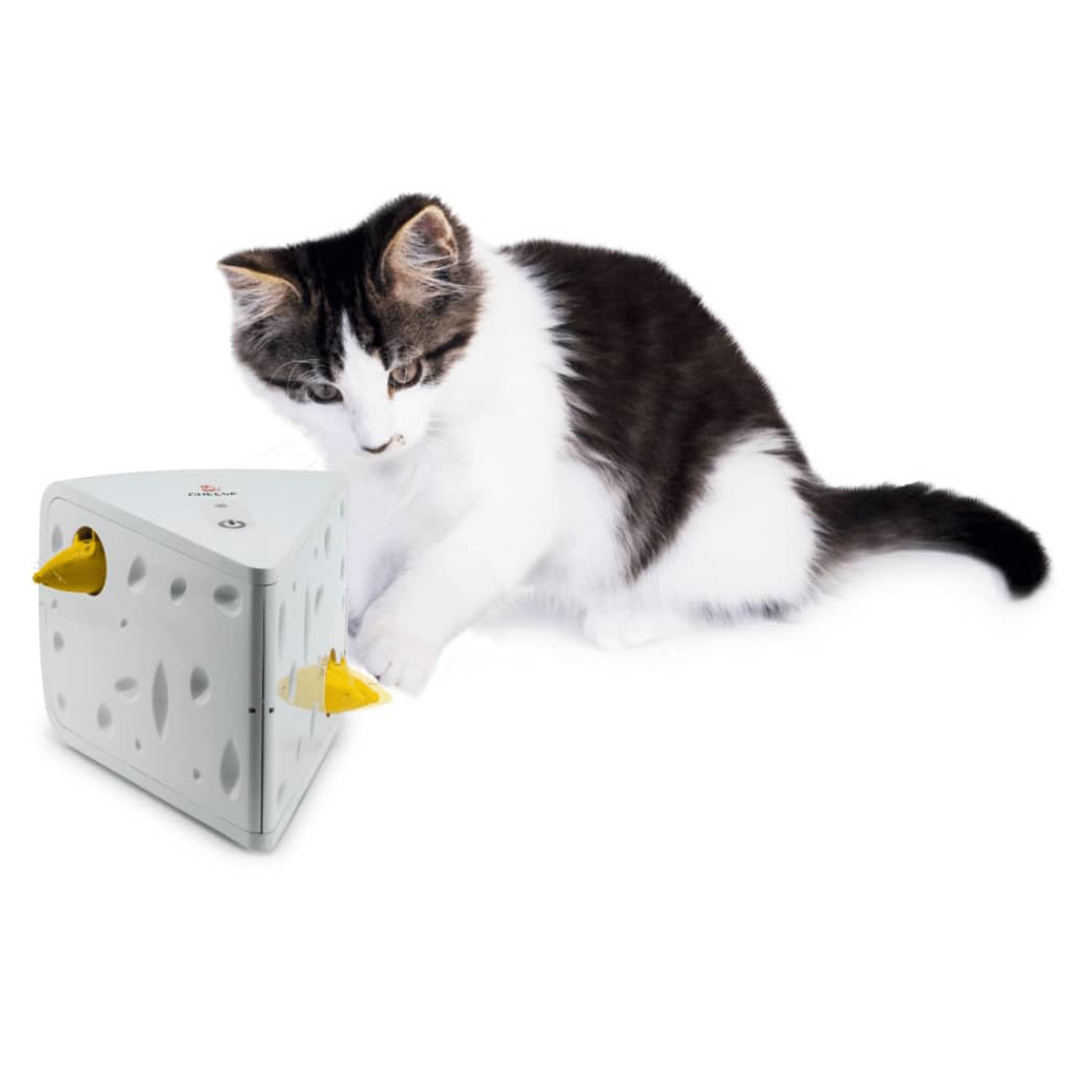Un gatto bianco e nero guarda un giocattolo a forma di formaggio con topi gialli. Il giocattolo è bianco con fori, su sfondo bianco.