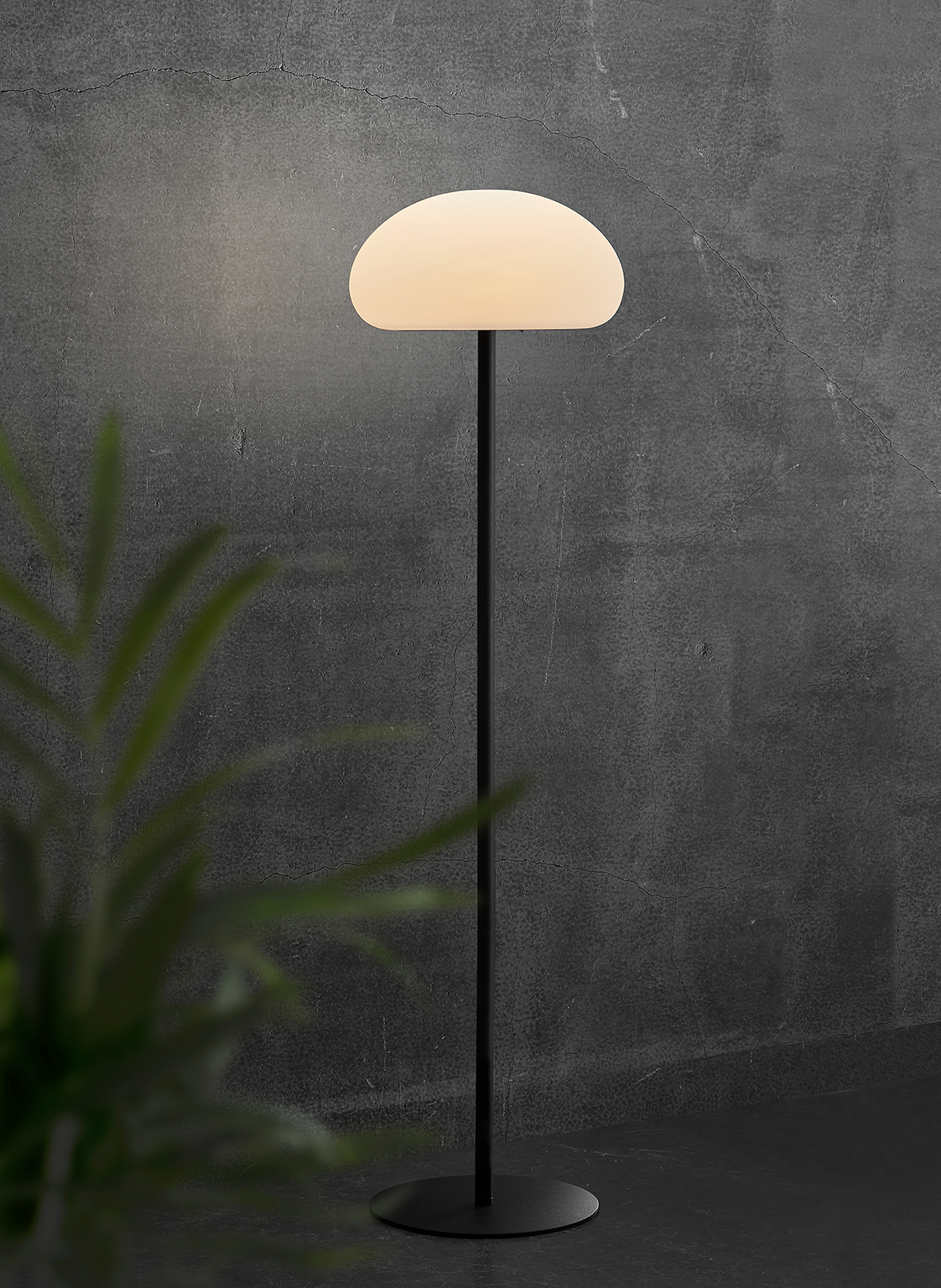 Eine moderne Stehlampe mit weißem, halbkreisförmigem Lampenschirm. Sie steht auf einem schwarzen Ständer vor einer dunkelgrauen Wand, mit einer grünen Pflanze im Vordergrund.