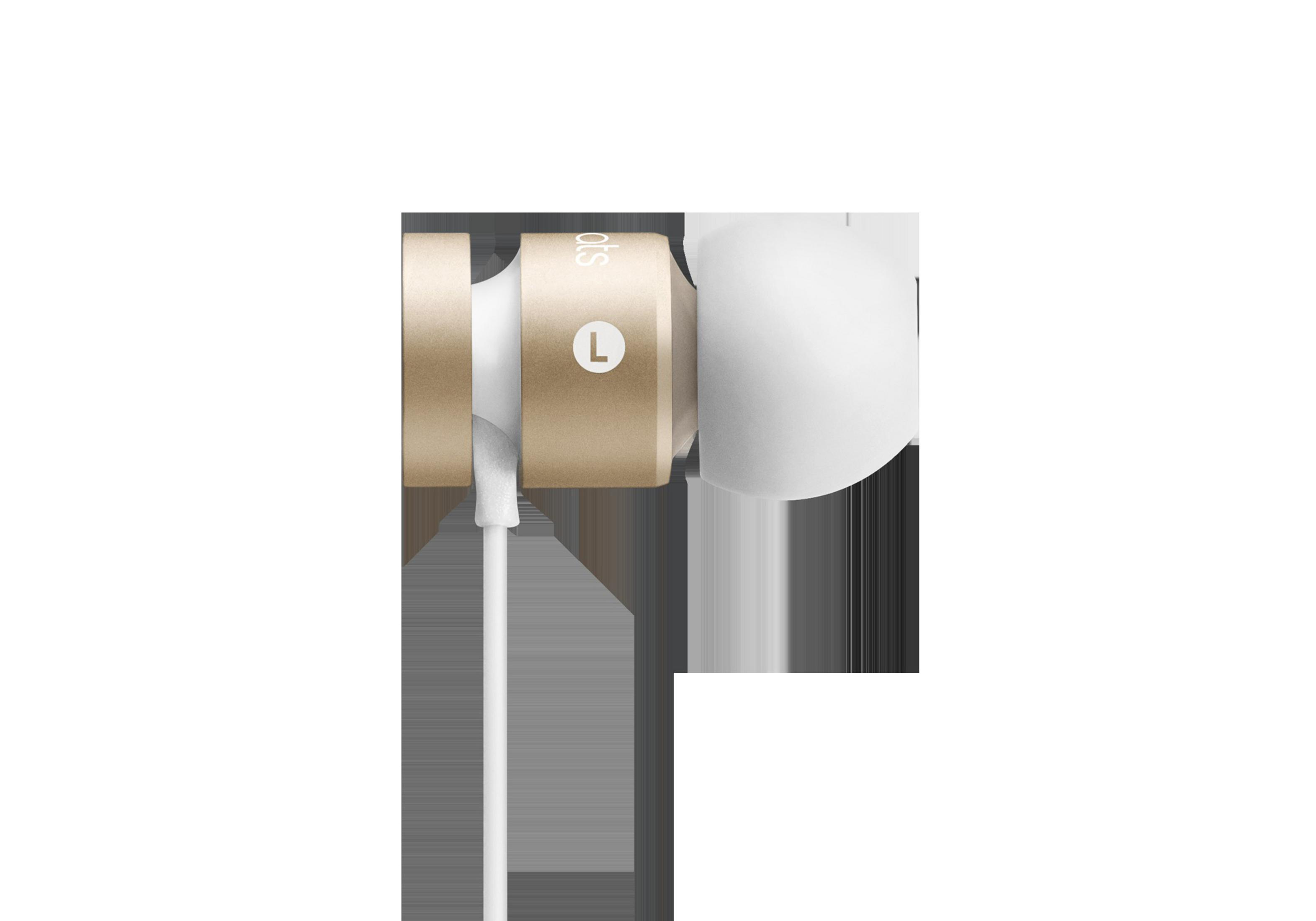 Zbliżenie złotego i białego dousznika ze znakiem 'L'. Dousznik jest ustawiony pod kątem na białym tle.