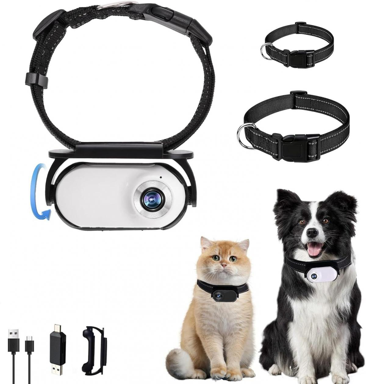 Ein schwarzes Hundehalsband mit Kamera, zwei Halsbänder ohne Kameras, eine Katze, ein Hund mit Halsbändern und Zubehör.