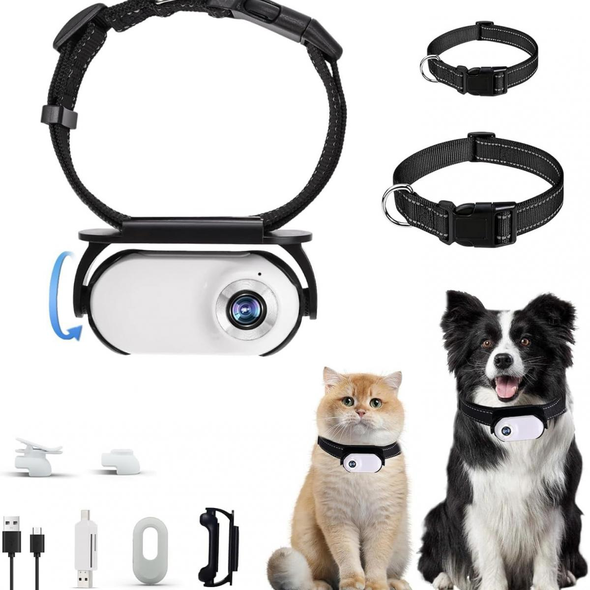 Ein Hundehalsband mit Kamera, zwei weitere Halsbänder, eine Katze und ein Hund mit Halsbändern. Zubehör wie Ladegeräte befinden sich unten.