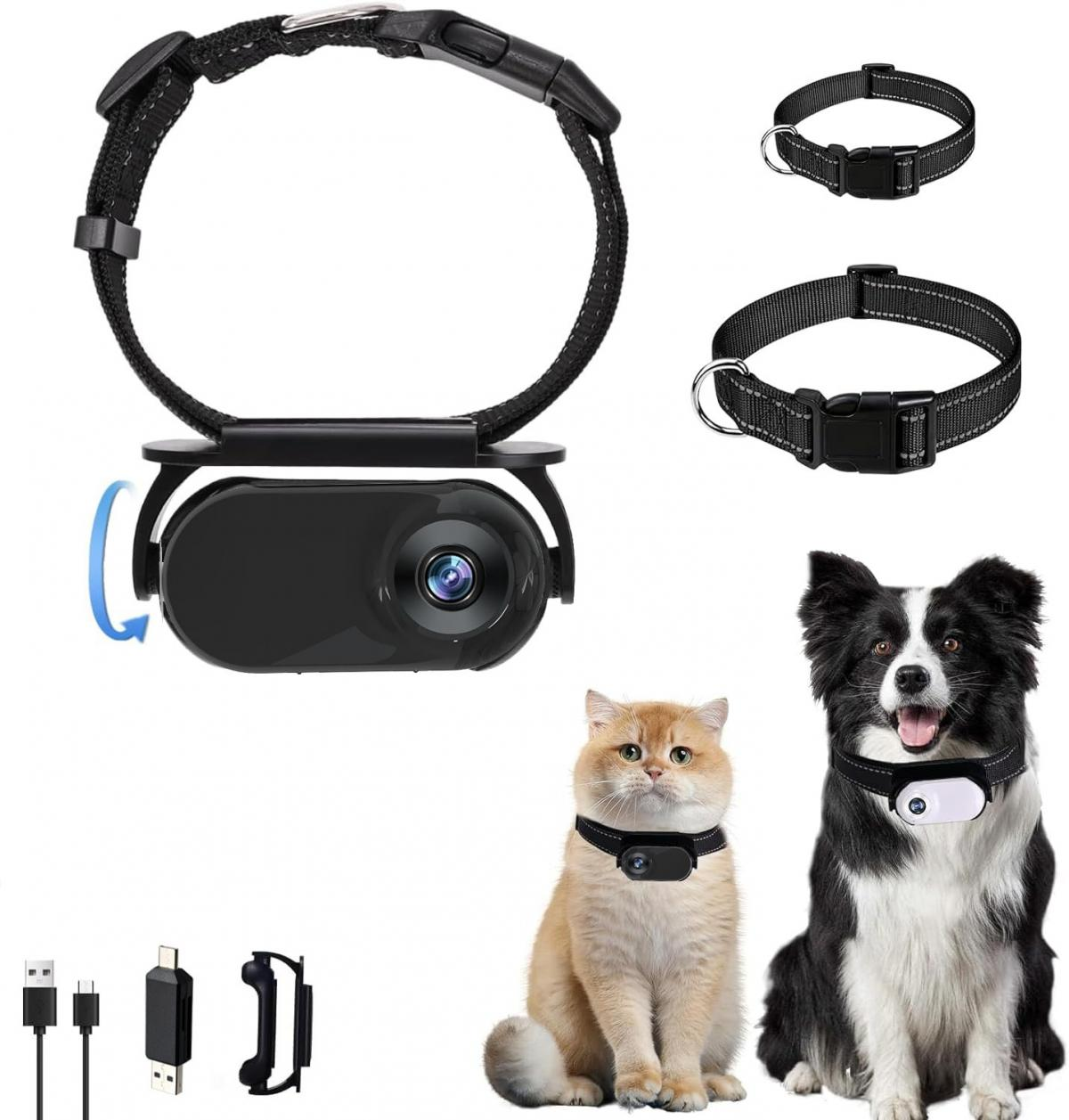 Gezeigt wird ein schwarzes Kamerahalsband. Es gibt auch zwei Hundehalsbänder, eine Katze und einen Hund, die ähnliche Halsbänder mit einer Kamera tragen. Kabel befinden sich unten.