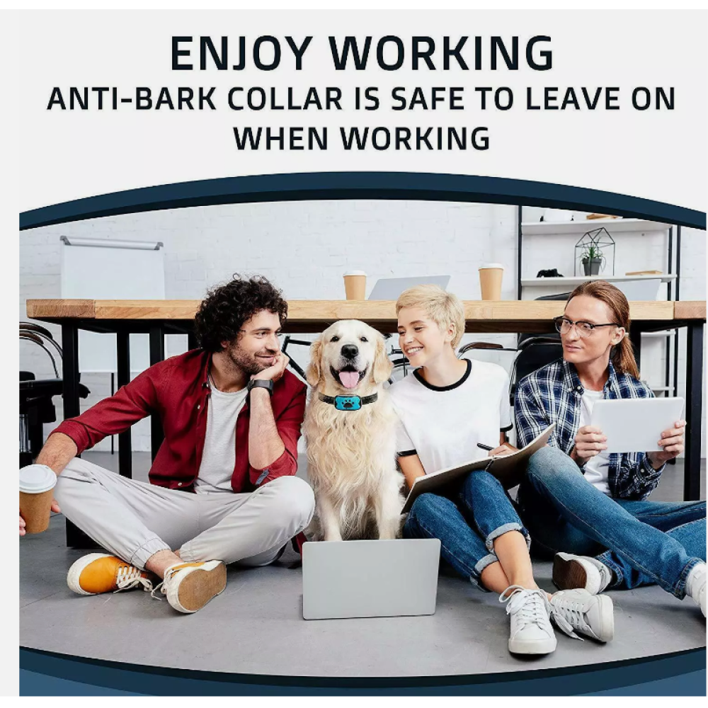 Drei Personen und ein Hund mit Anti-Bell-Halsband sitzen auf dem Boden. Sie befinden sich in einem Büro mit Laptop und Notizblock.